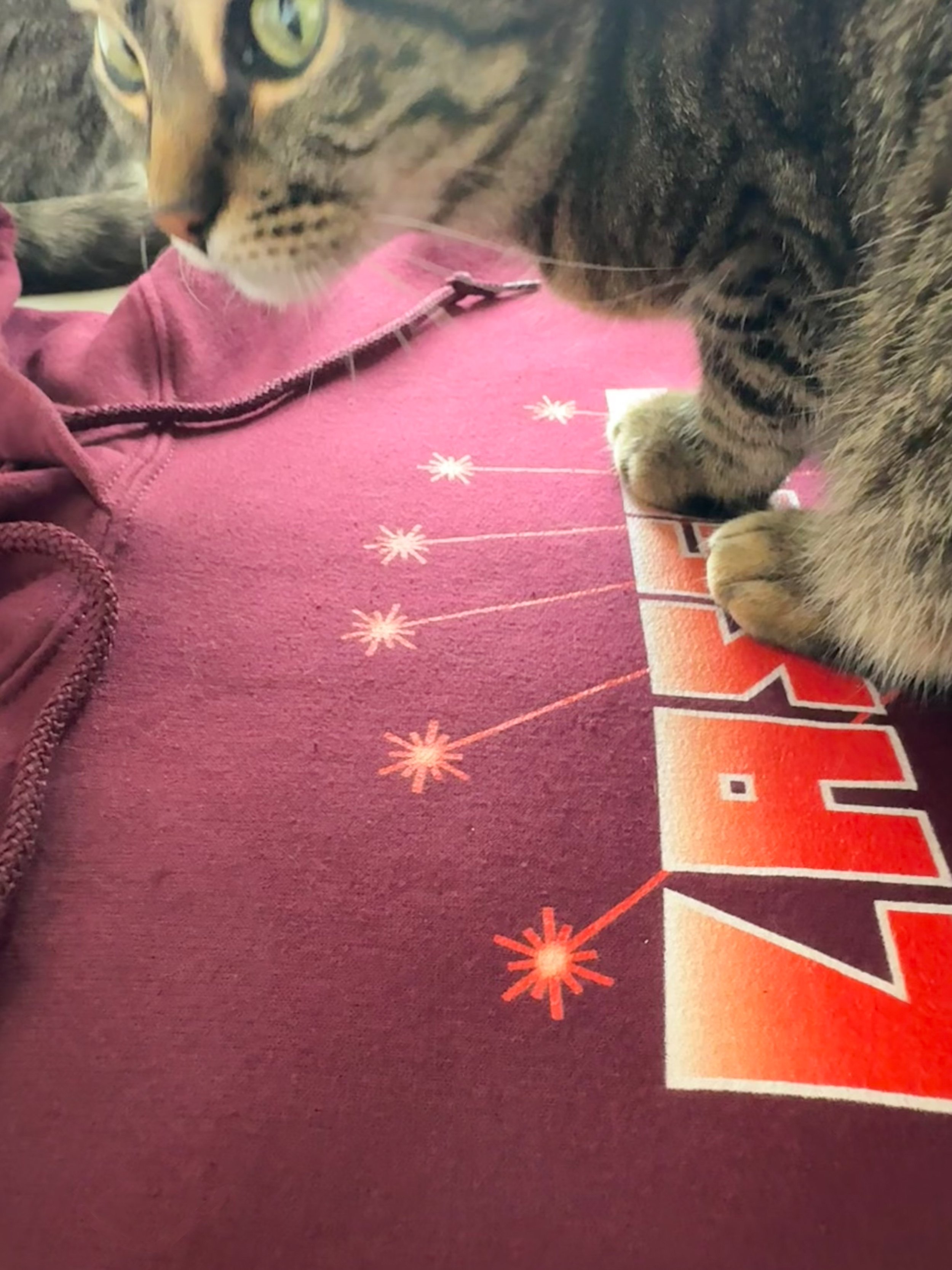 lasers-hoodie-closeup-krypton-1.jpg