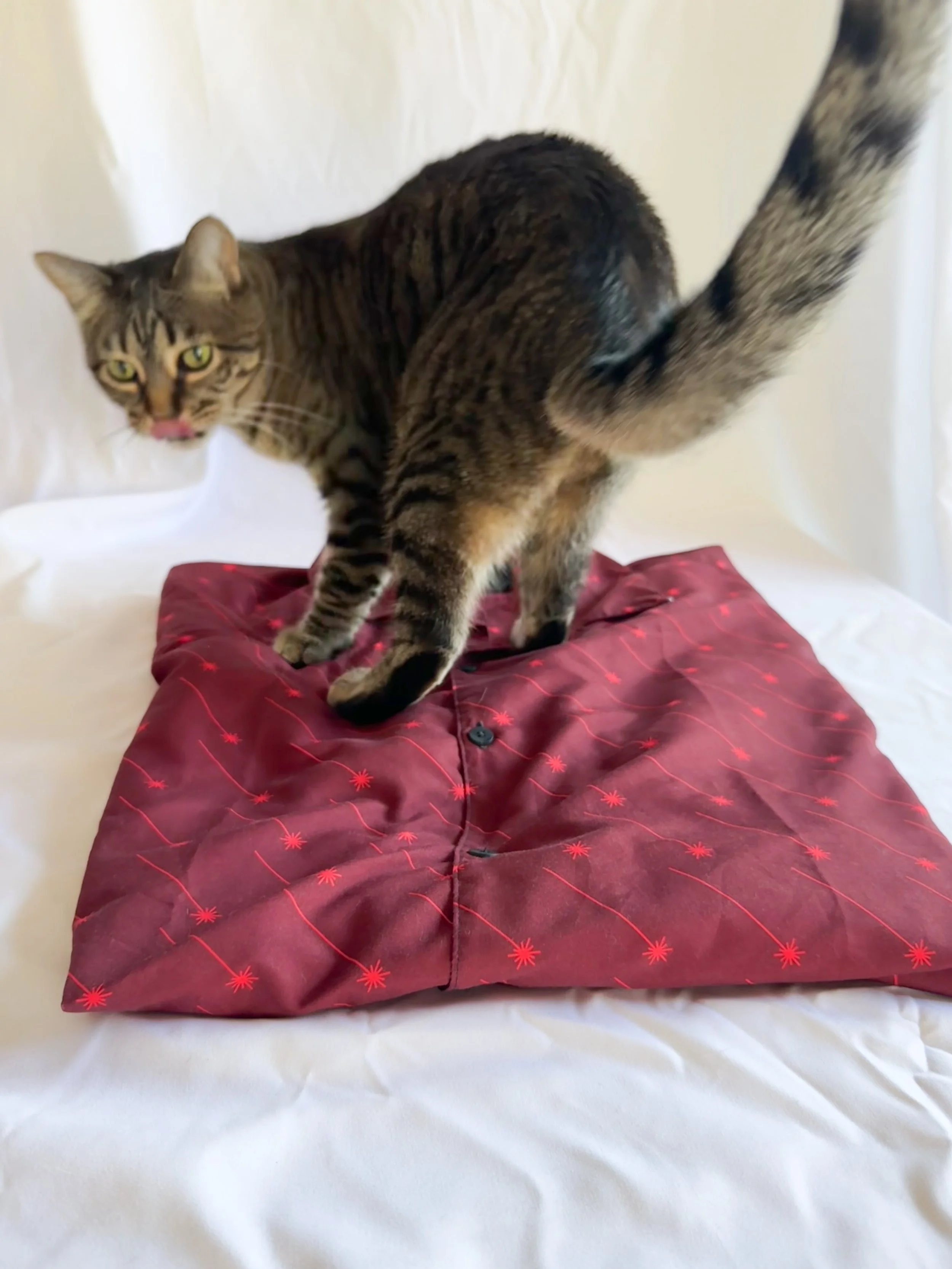 angled-lasers-buttondown-red-1.jpg