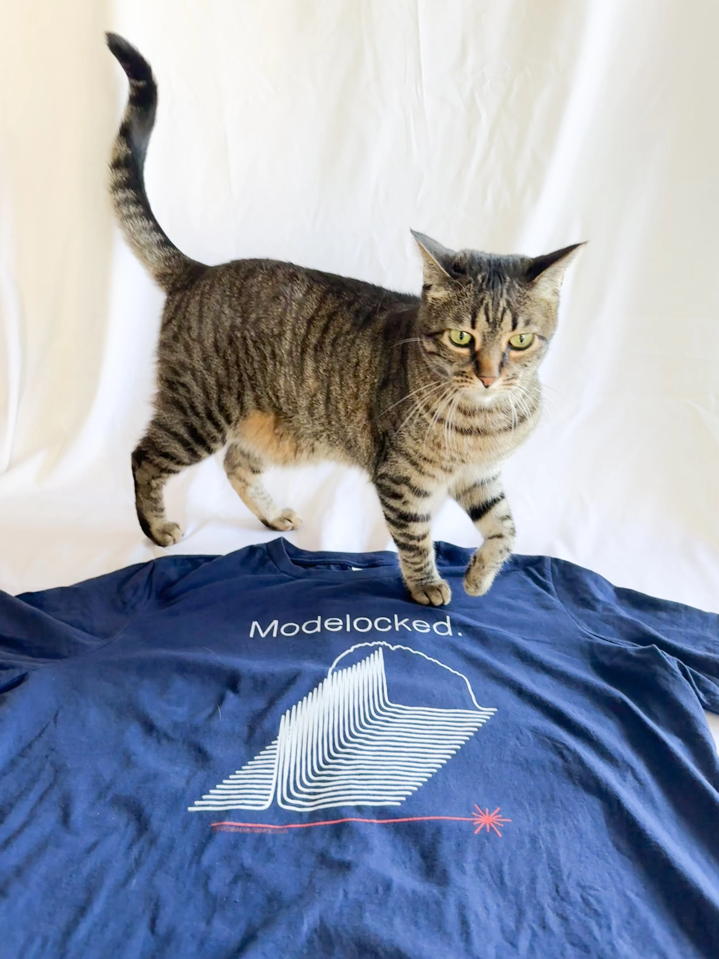modelocked-fitted-tshirt-3.jpg