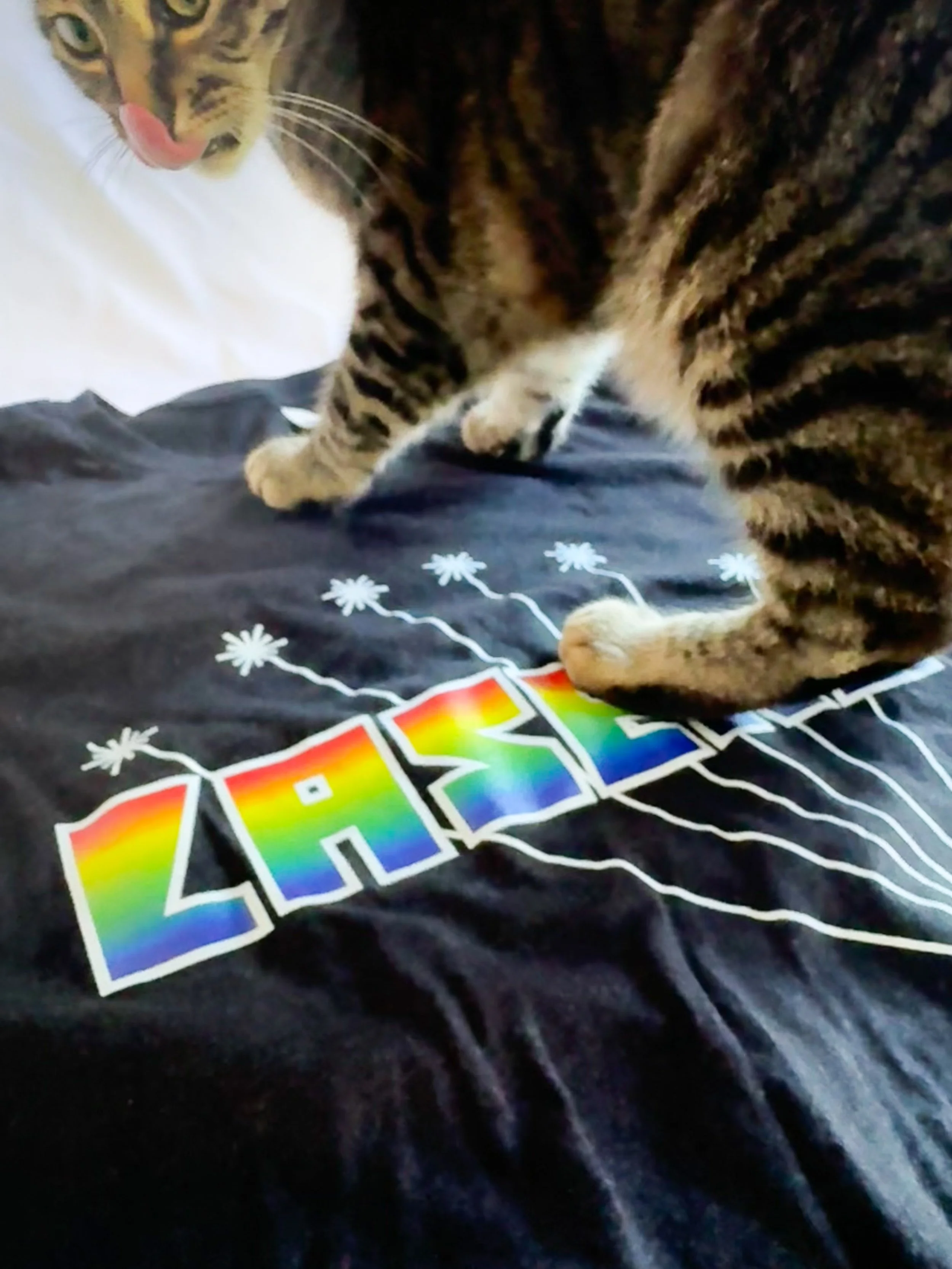 lasers-tshirt-rainbow-2.jpg