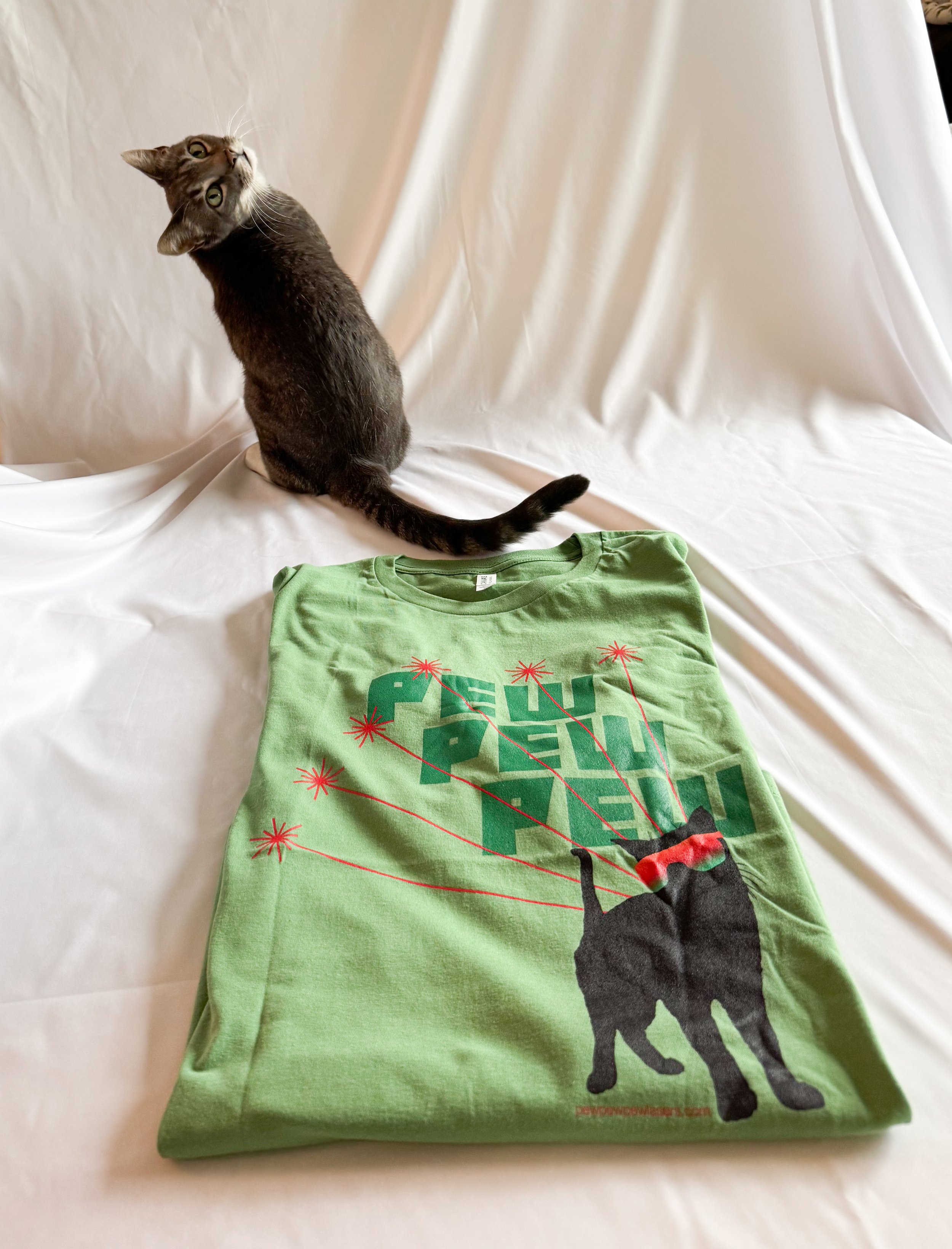 cat-lasers-tshirt-2.jpg