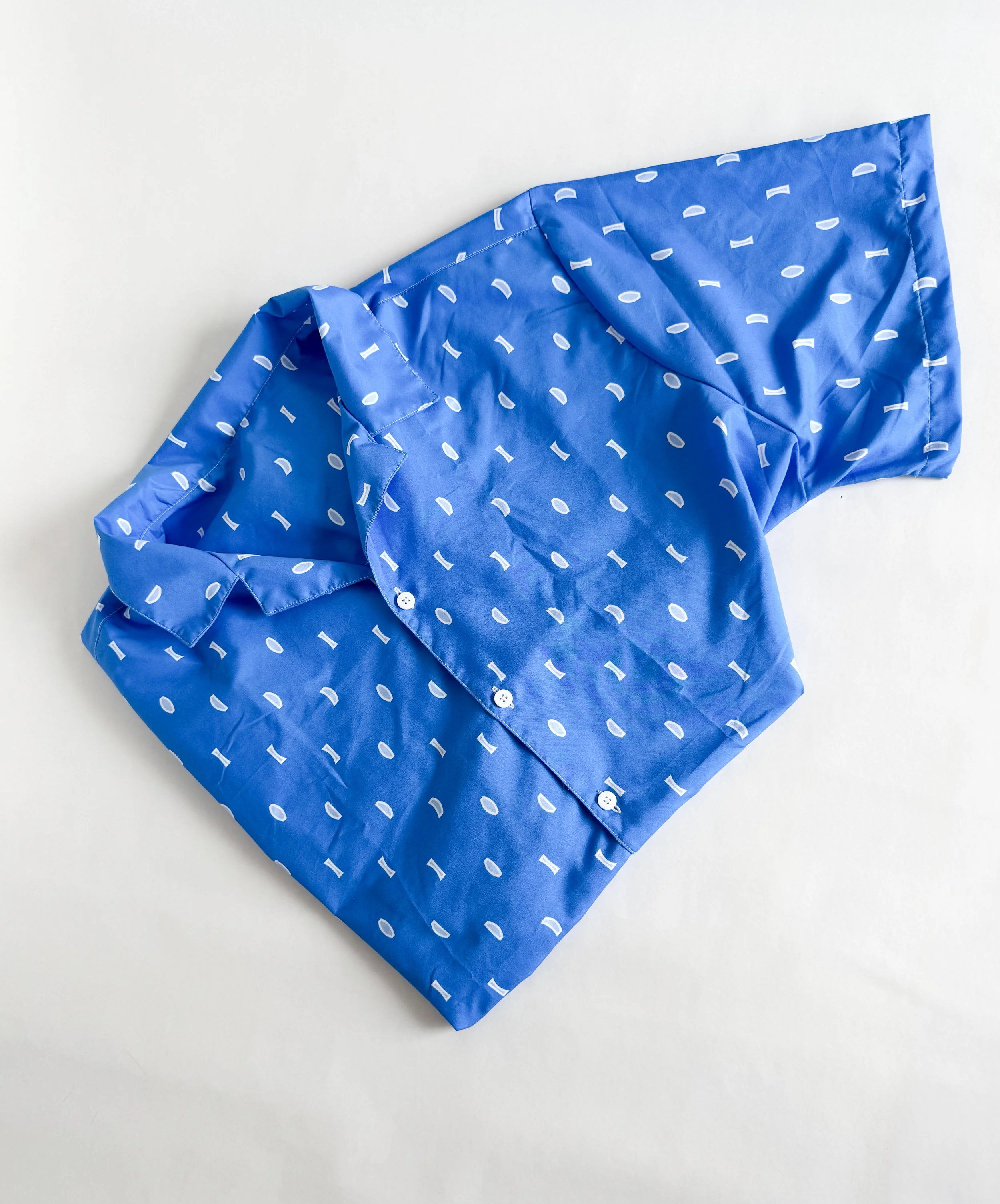 lenses-buttondown-5.jpg