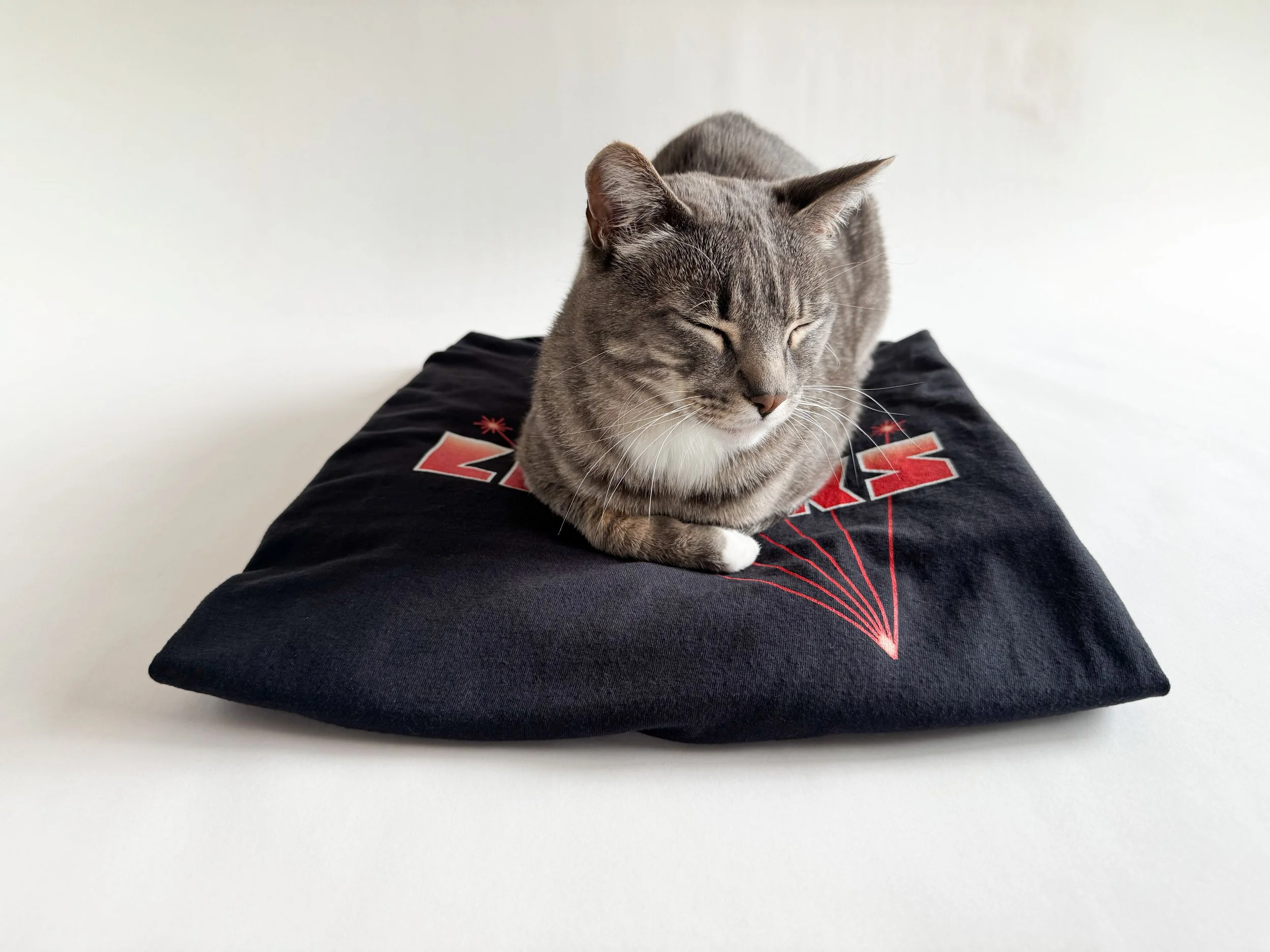 lasers-sweatshirt-neon-loaf-2.jpg
