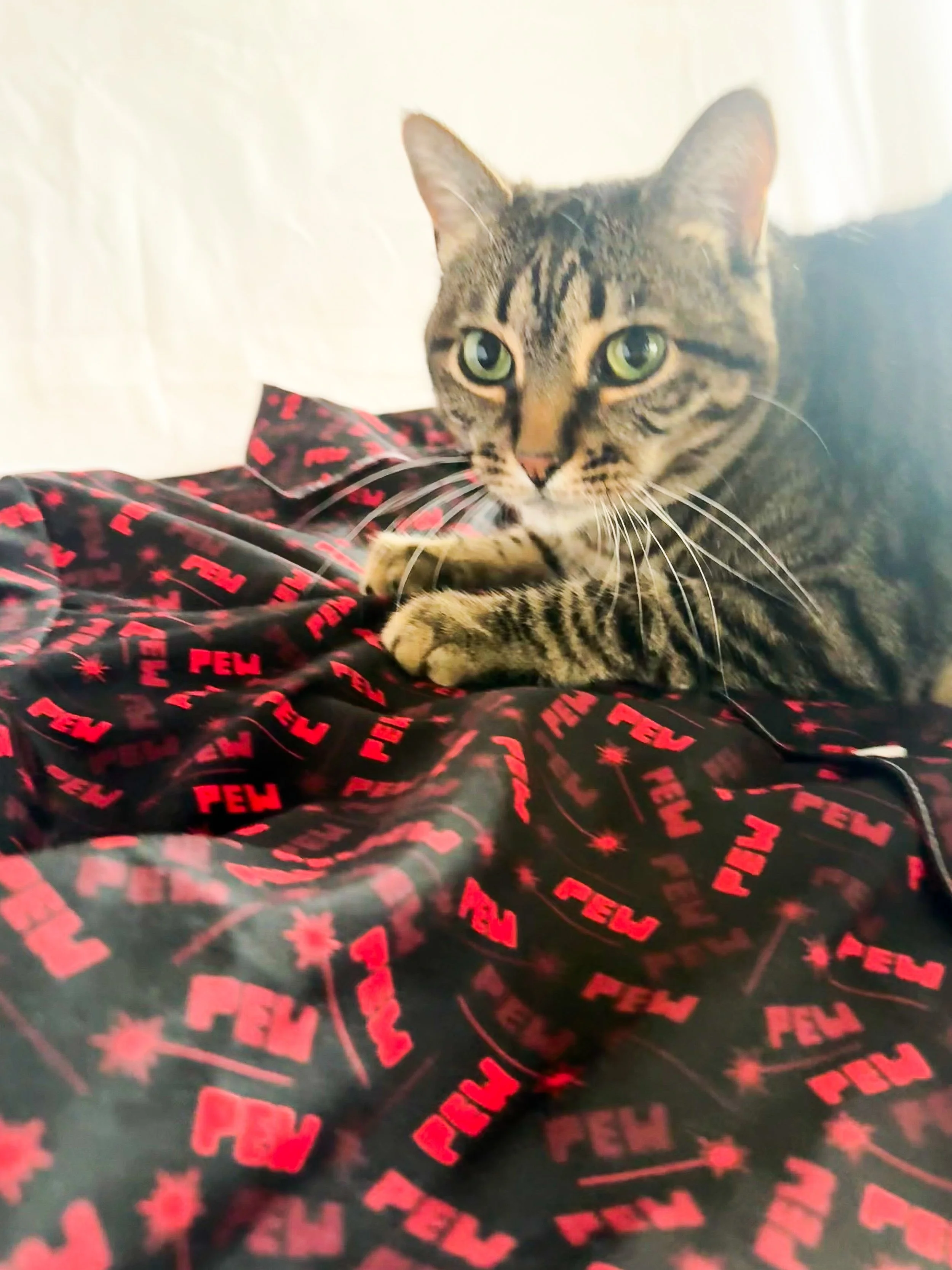 pew-red-button-down-13.jpg