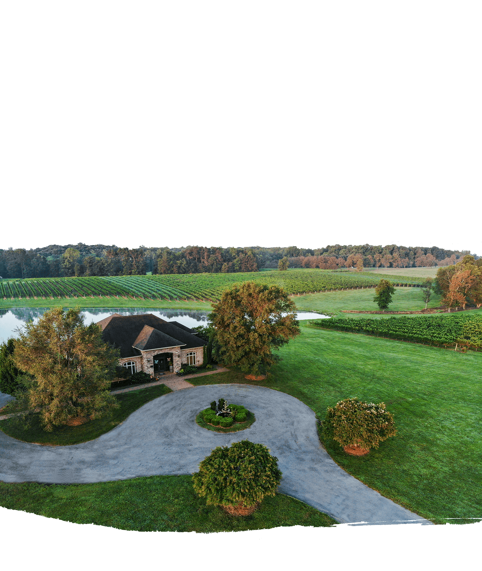 Shadow Springs Vineyard