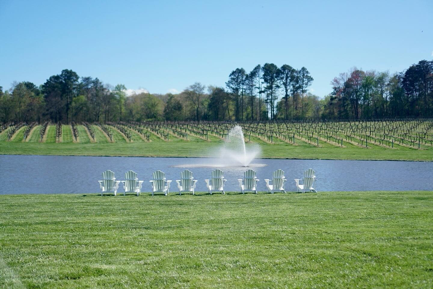 Let the wind blow you out to Shadow Springs this weekend 💨😊 The vineyard is looking beautiful as it starts to wake up for spring 🌿

#ncwine 
#visitnc 
#yadkinvalley
