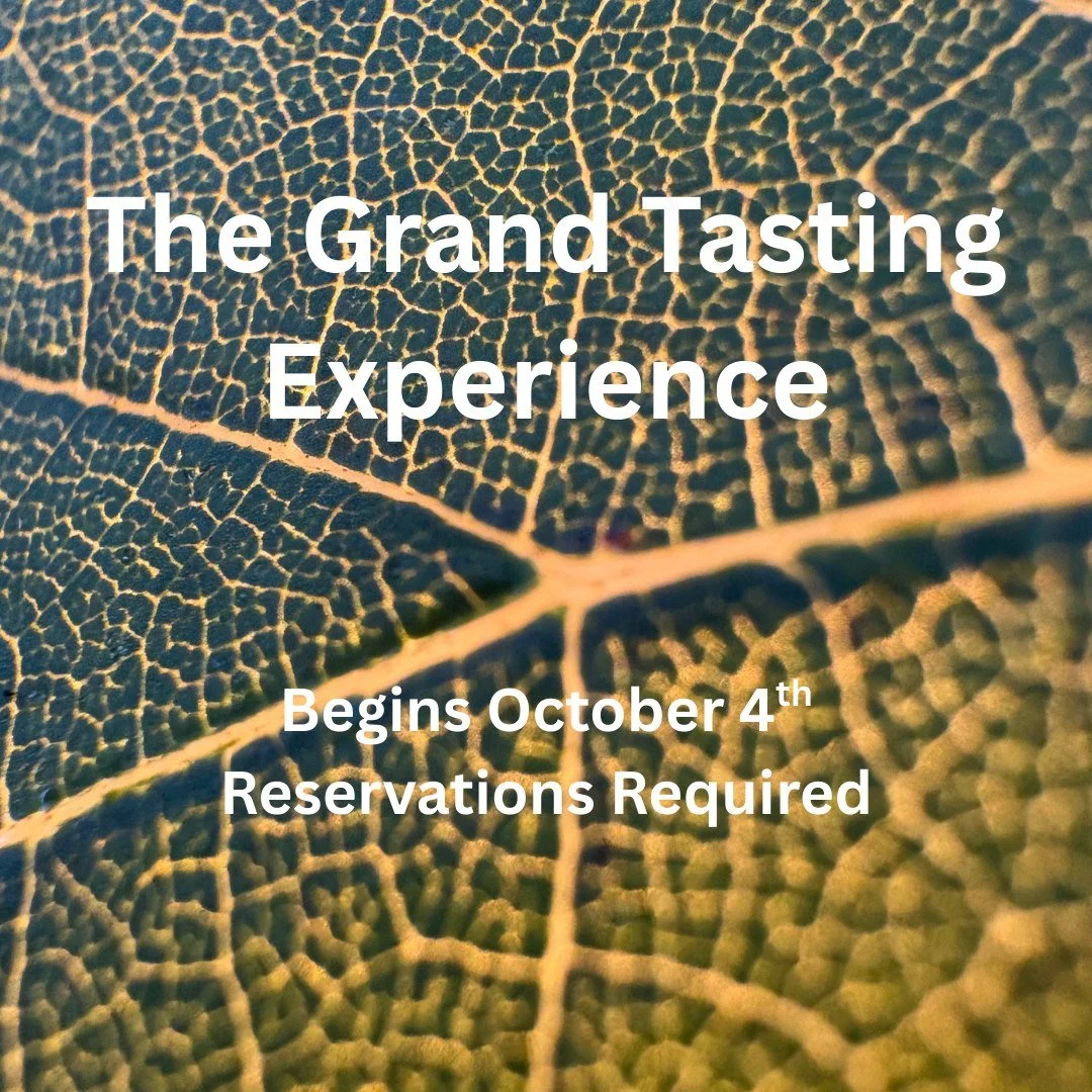 ✨ Introducing The Grand Tasting Experience ✨
Launching Saturday, October 4th, this reservation-only journey will take you across Windsor Run Cellars, Windsor Run Distillery, and Shadow Springs Vineyard.

Curated tastings at each stop
Behind-the-scene