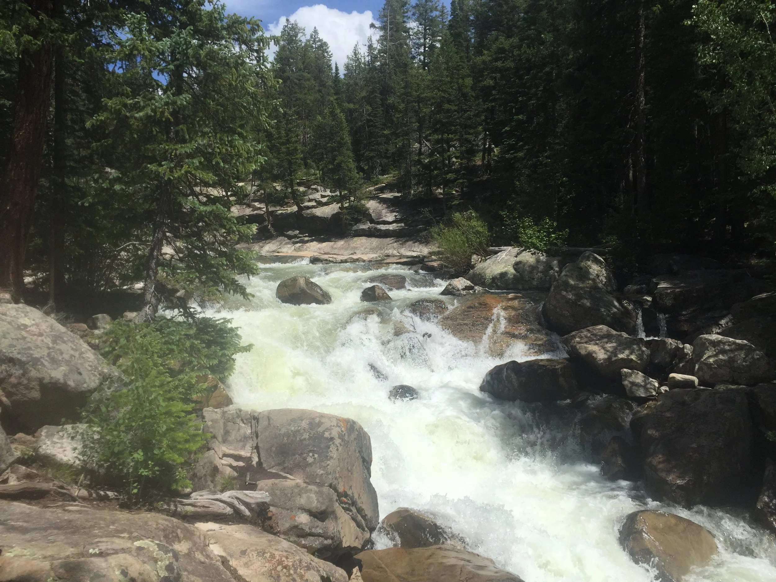 Wash me, Cleanse me!