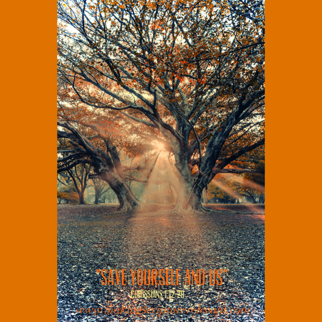 Save Yourself and Us