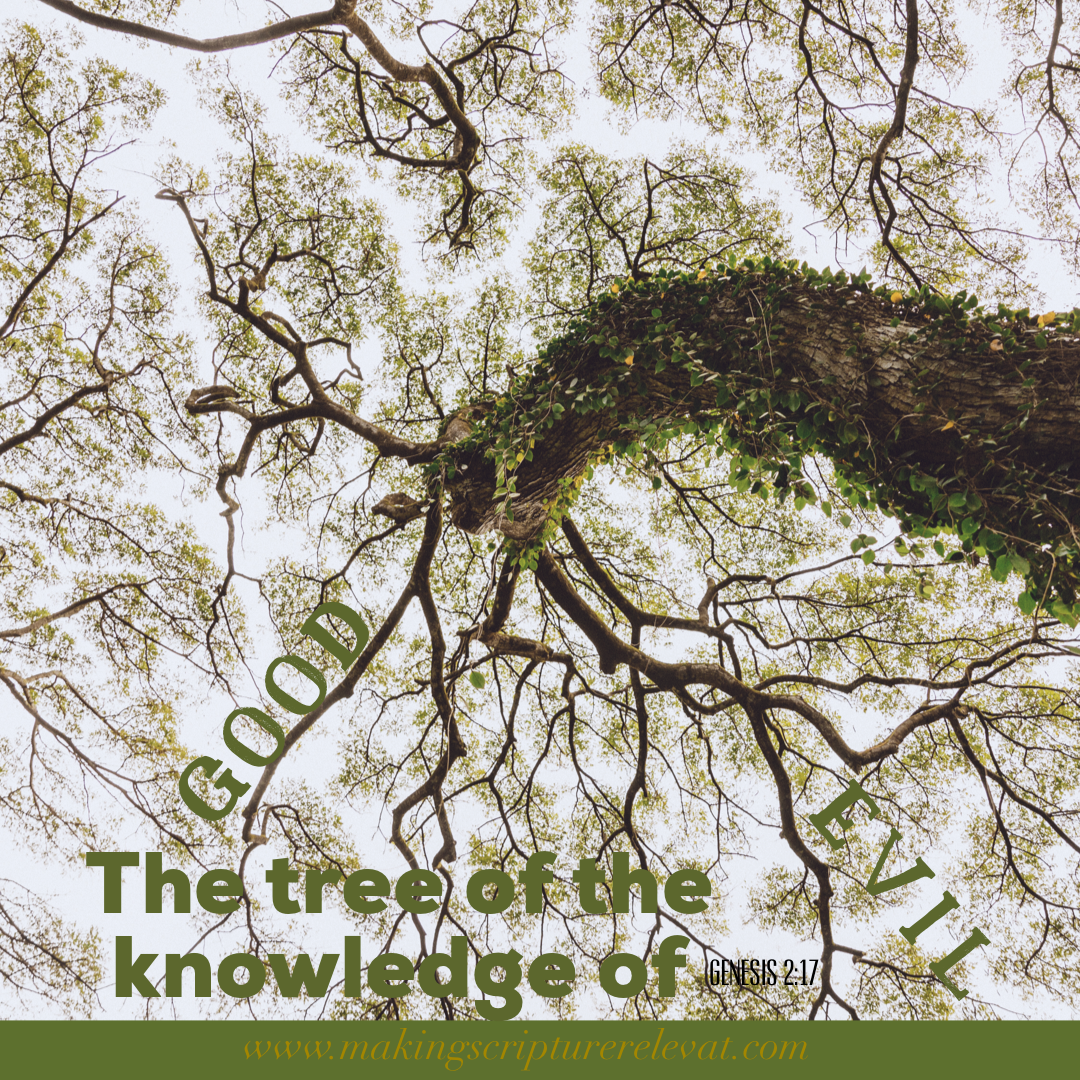 Tree of Knowledge