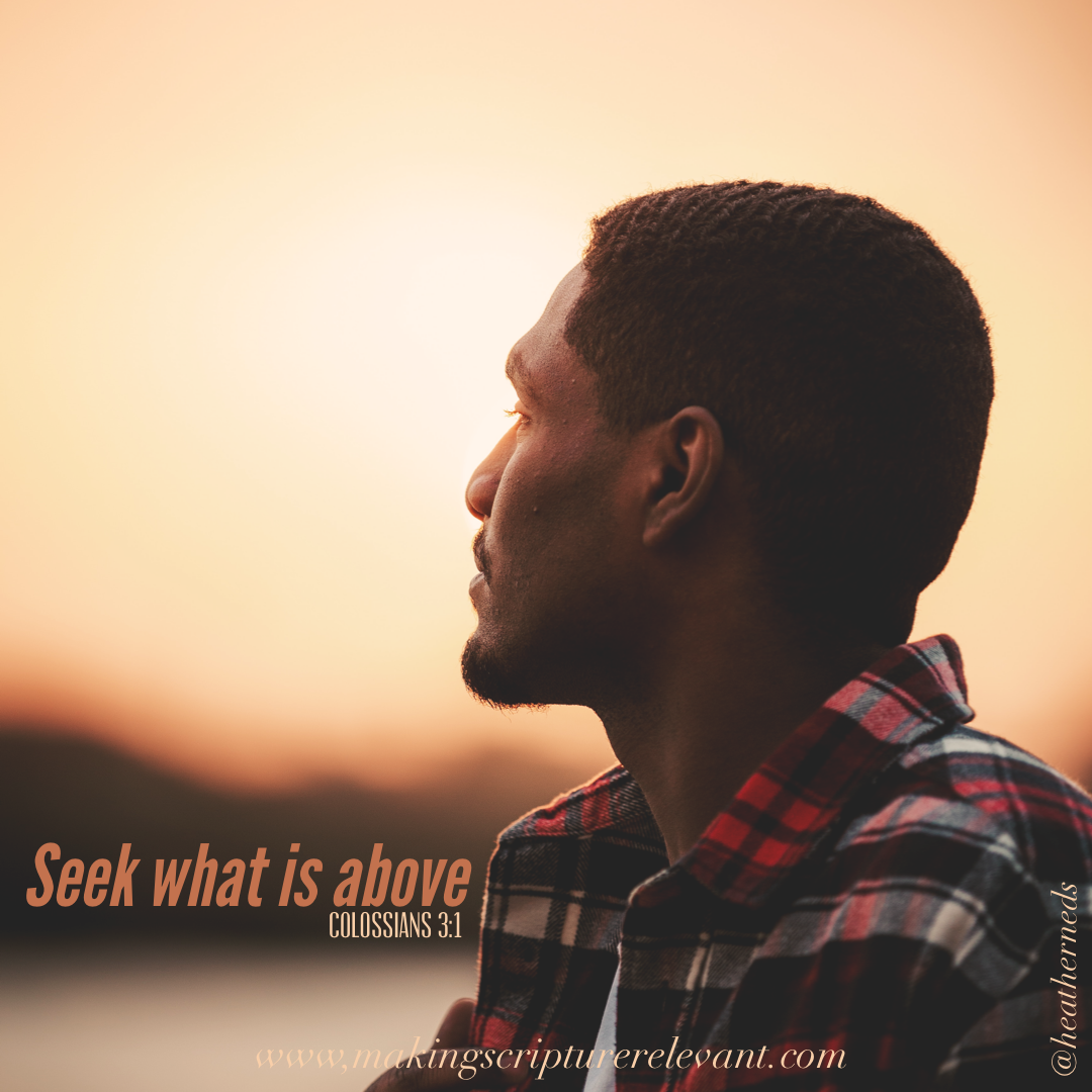 Seek What is Above