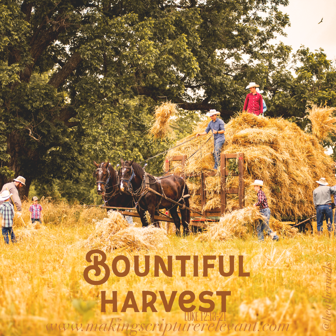 Bountiful Harvest