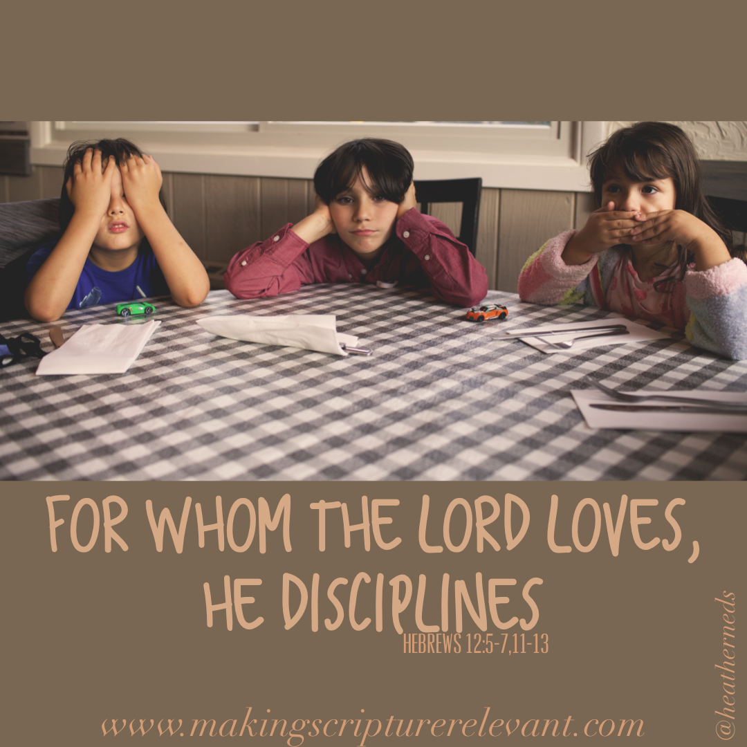 He Disciplines