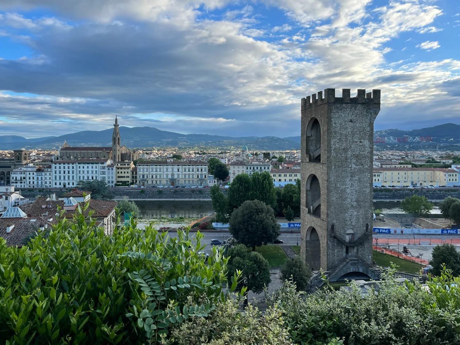 Fiona Basile - www.FionaBasile.com