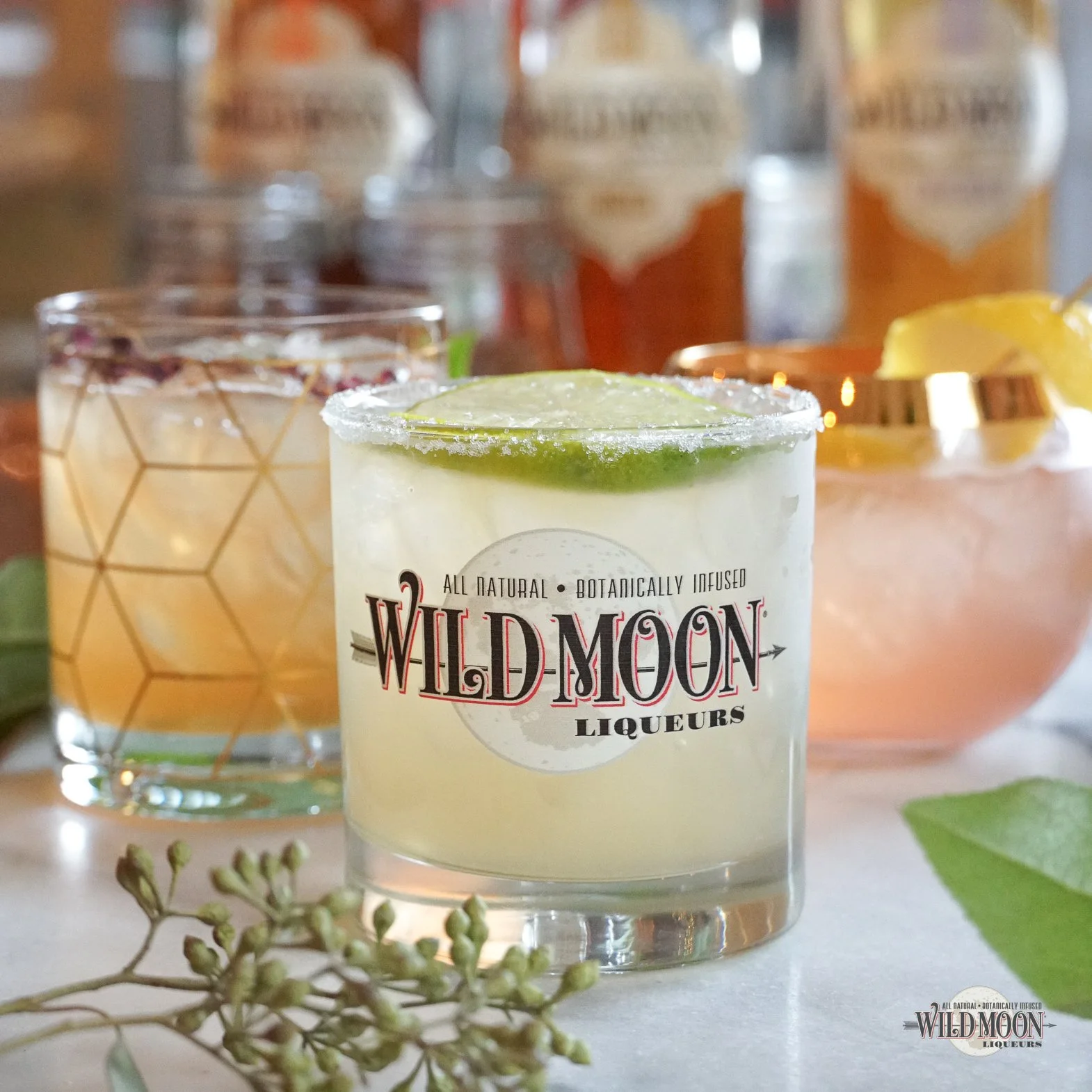 lime margarita watermark.jpg