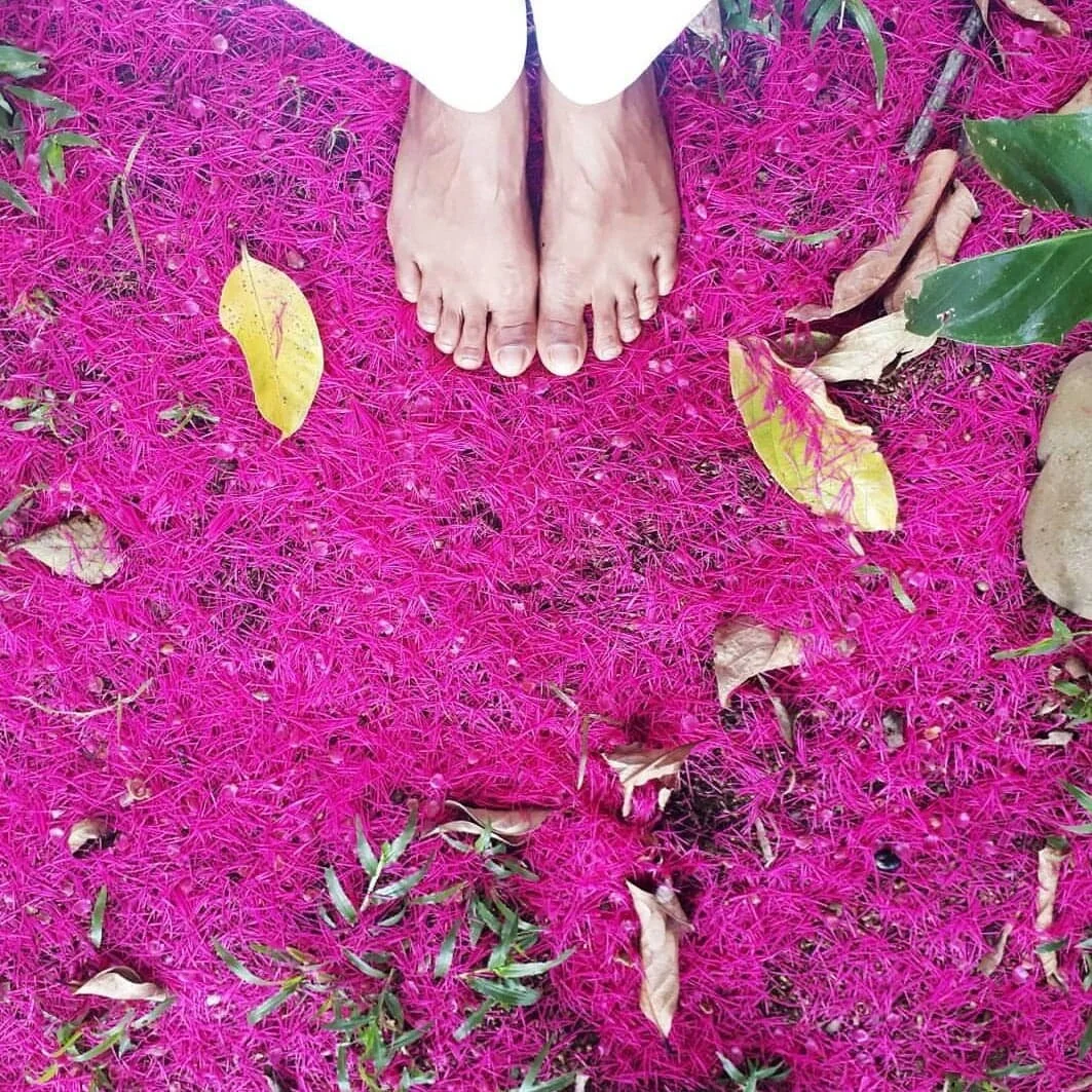 Alternative Physical Therapy &amp;  Holistic Bodywork