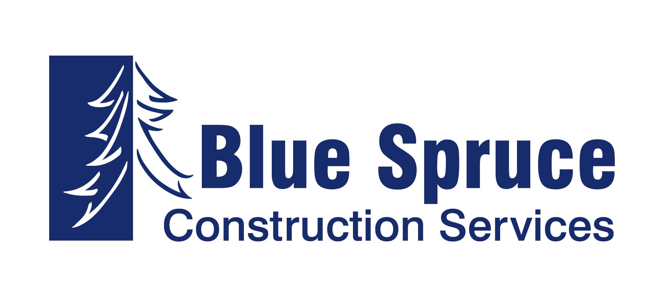 BS-Logo-Blue-print.jpg
