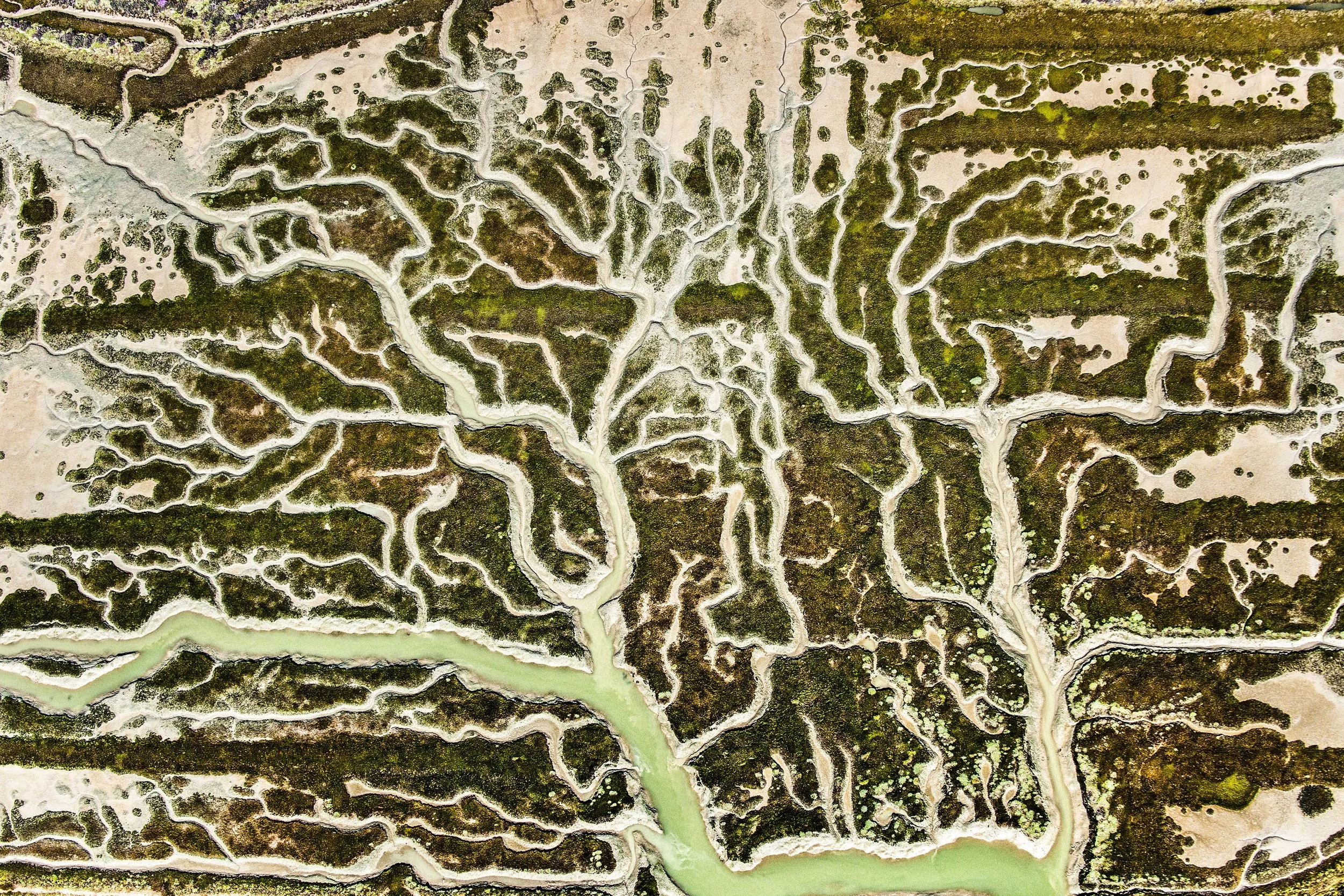 AVE Doñana reúne arte y ciencia en Sevilla para reflexionar sobre el agua y la conservación