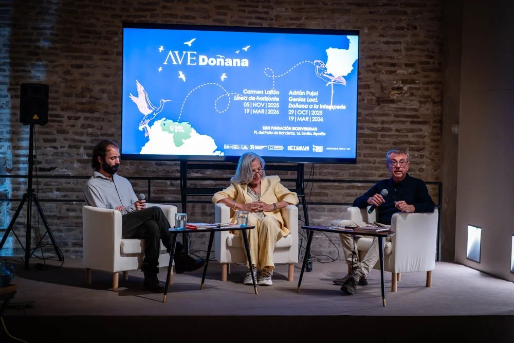 AVE Doñana, el proyecto que reúne arte y ciencia en Sevilla para reflexionar sobre el agua y la conservación