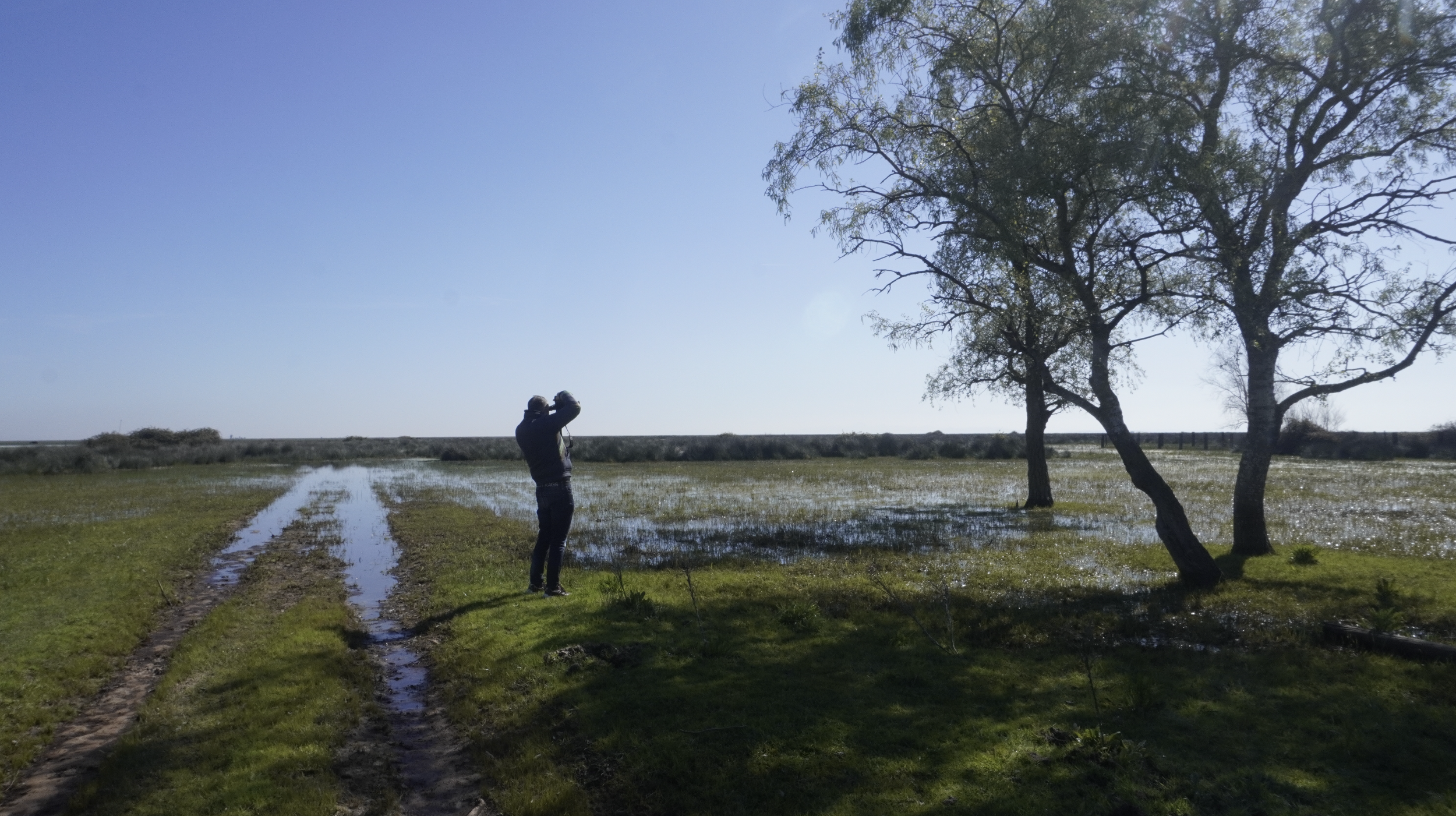 Sevilla acoge 'NIDOS', la exposición inspirada en el Parque Nacional de Doñana que estará abierta hasta marzo