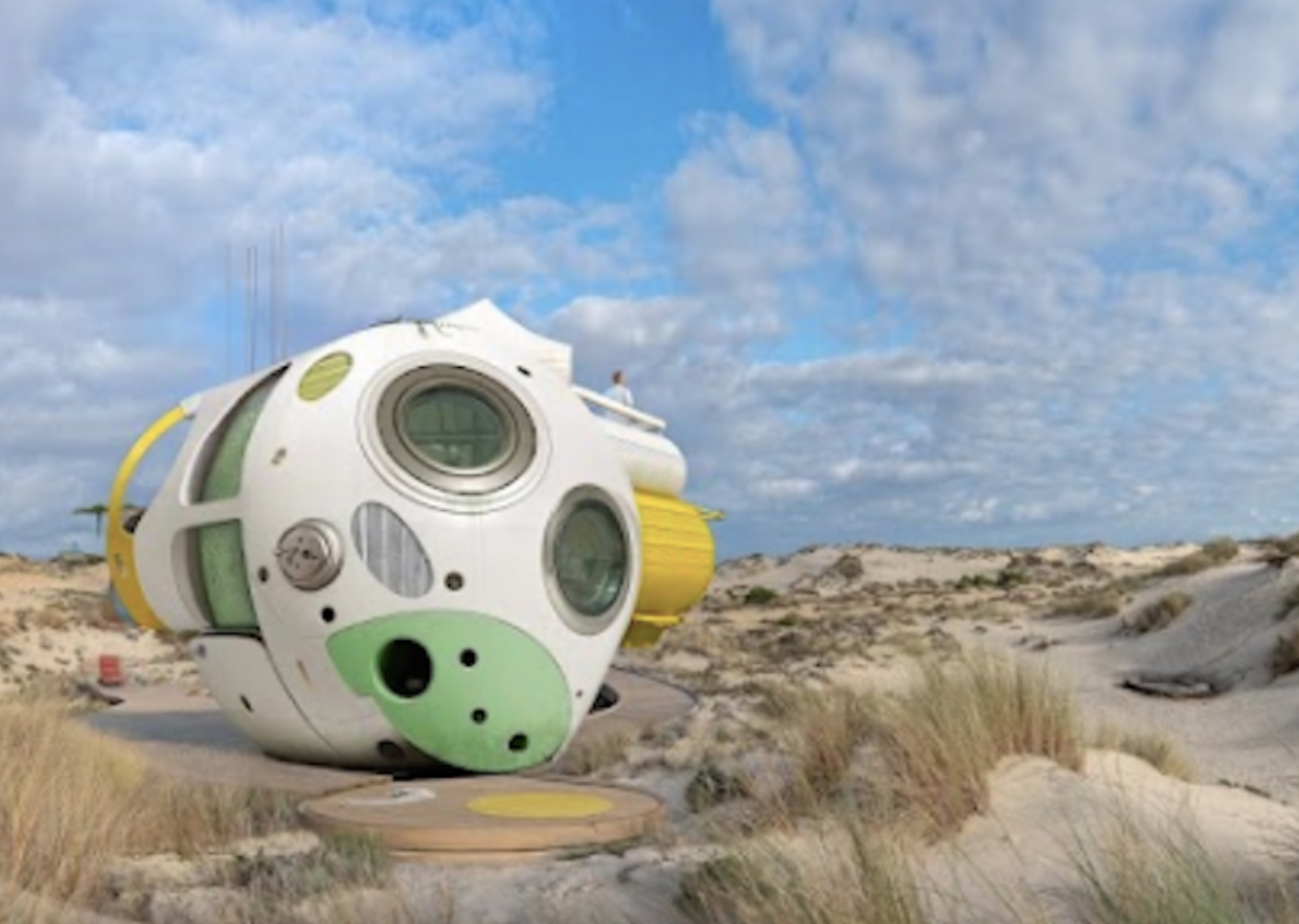 La exposición gratuita 'NIDOS' que lleva Doñana a Sevilla: 109 obras hasta marzo de 2027