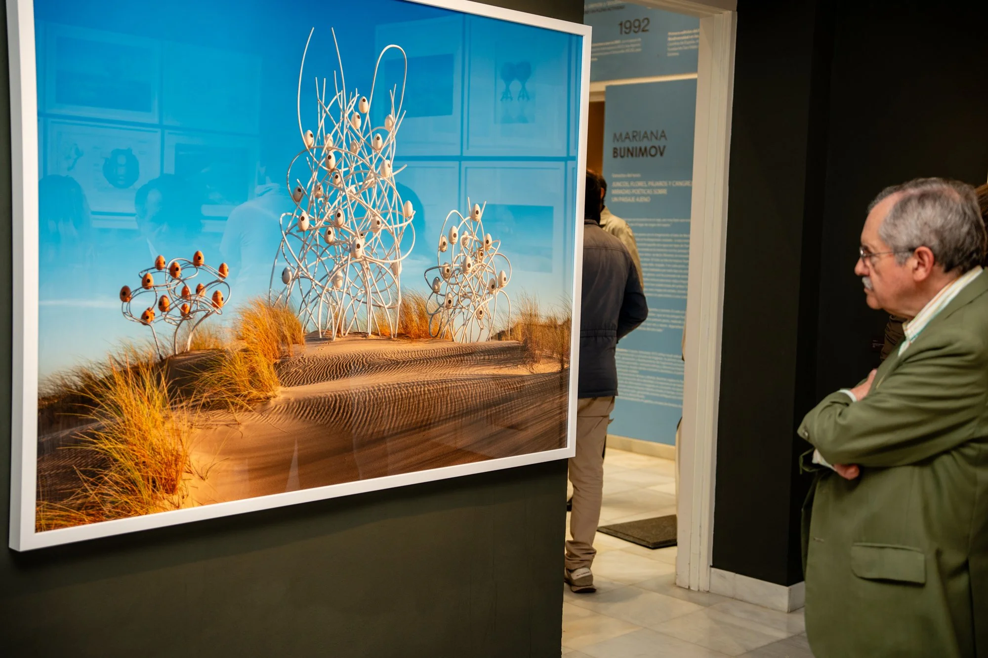 Ave Doñana II 34 @pepe_ruiz_foto.jpg