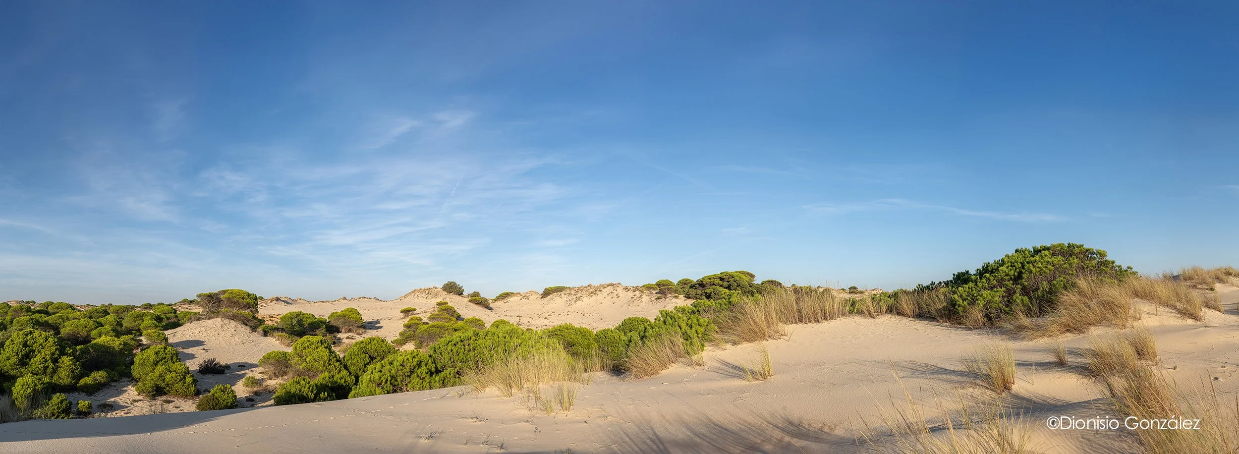 Res_DOÑANA-09.jpg