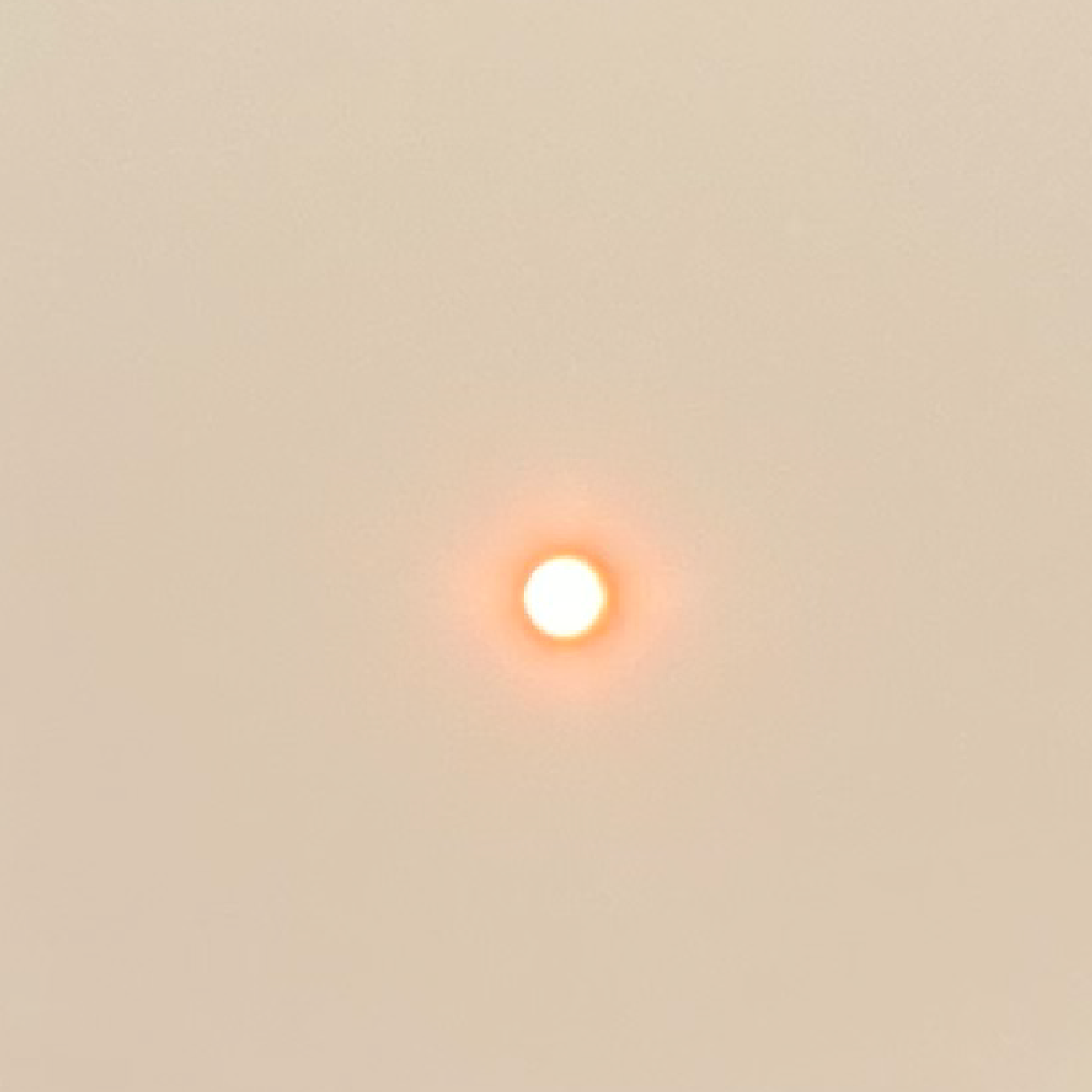 2023 suns and moons-04.png