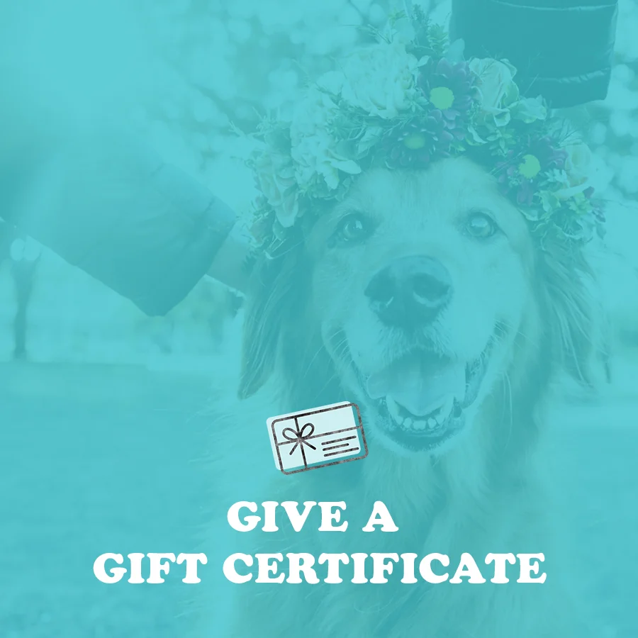 Giftcert.jpg