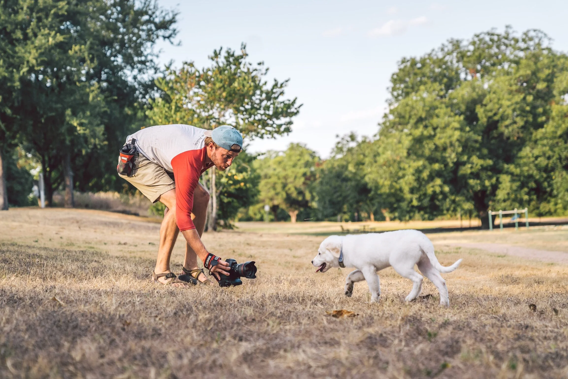 Alex+w-+Dogs+%286+of+15%29.jpg