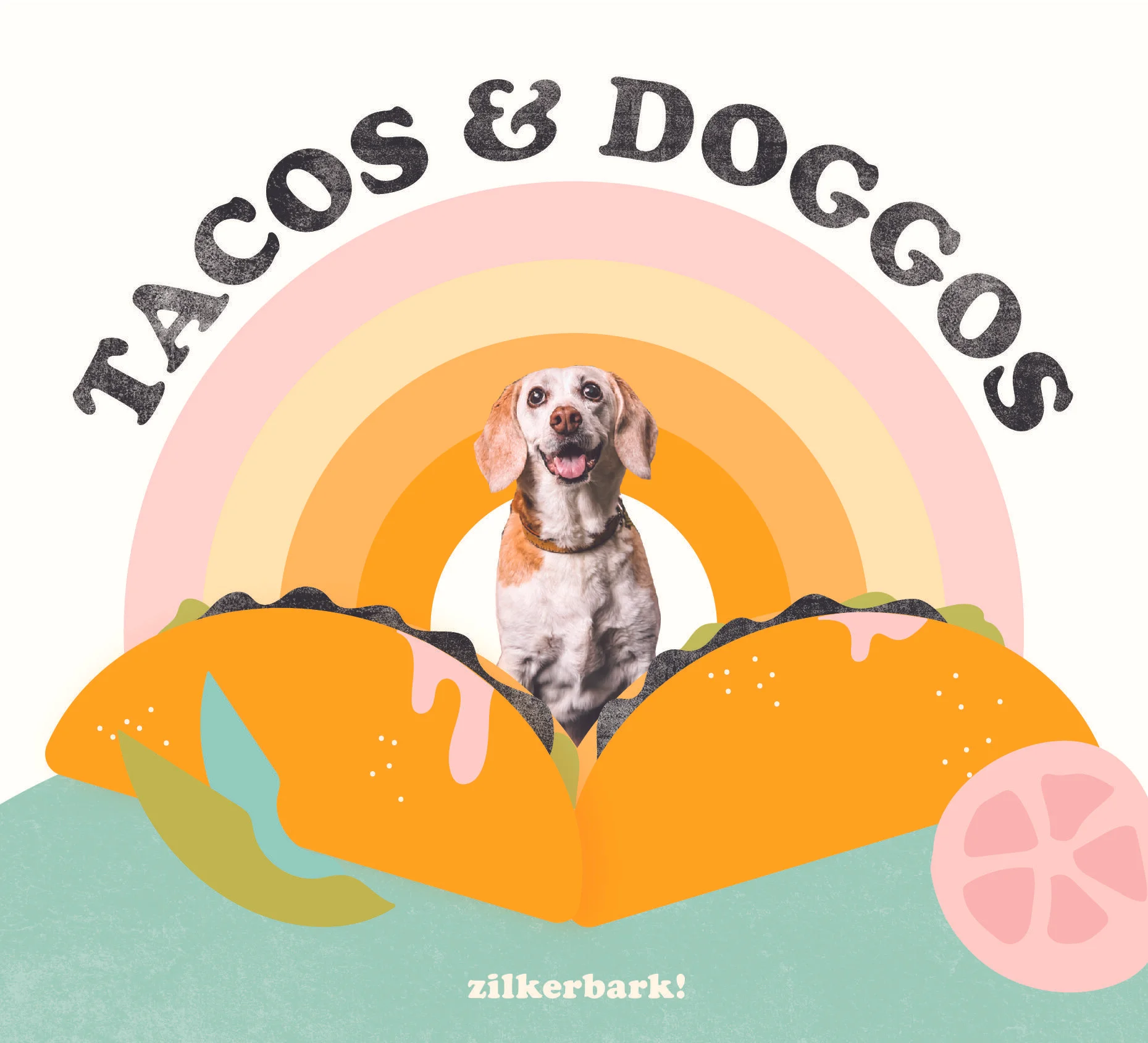 Tacos Doggos A Family Friendly Free Event Zilkerbark Made with crazy crinkle, a squeaker, and packed with fluff, doggo doggo bills y'all is on the it's perfect for photo ops and making it rain at the dog park (in a good way.) meet the greatest hits from 7 years and 12 million barkboxes, bark's. tacos doggos a family friendly free