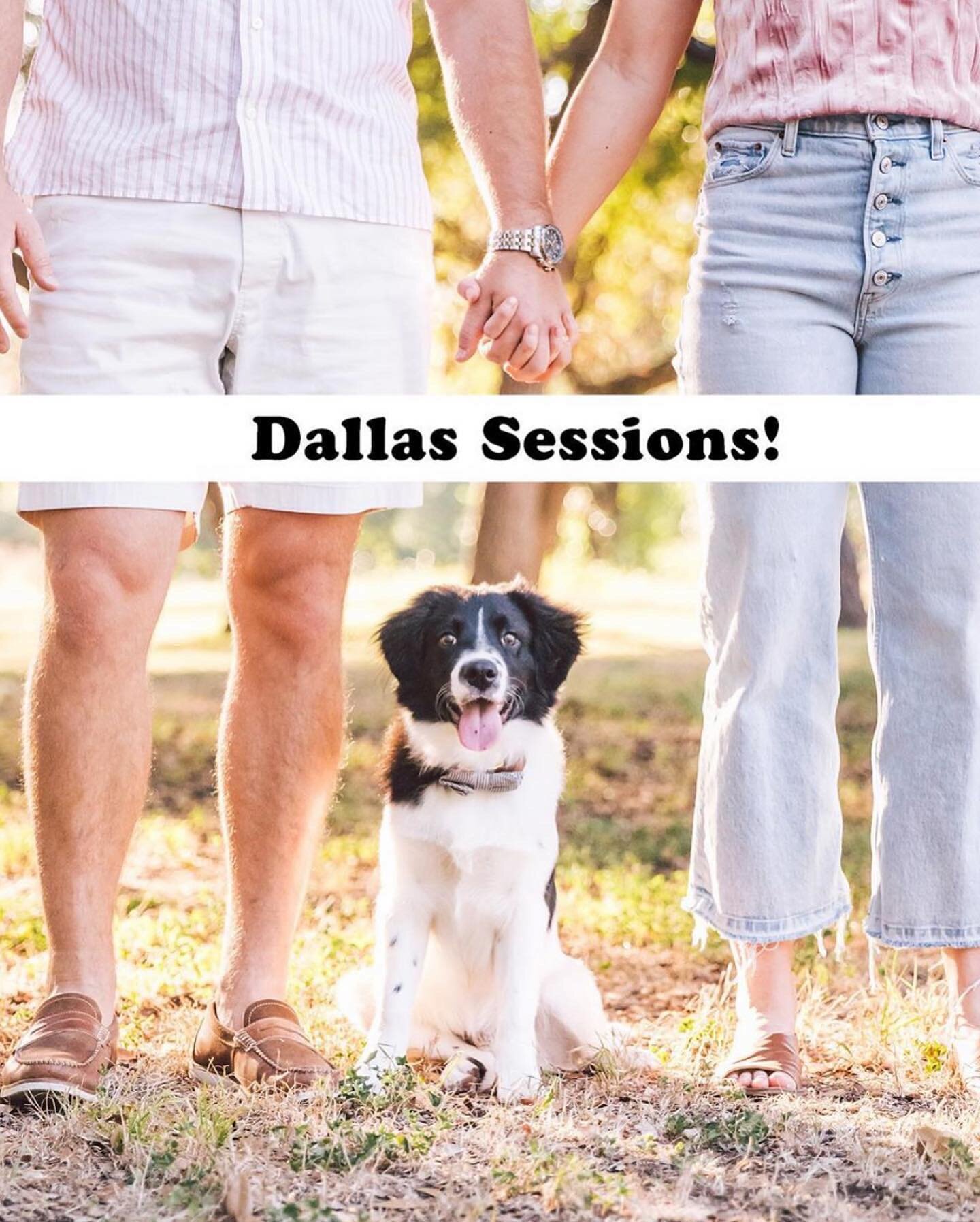 🐶 We&rsquo;re coming to Dallas!! 🐶

Remi, the 4mo old Border Collie mix, wants you to know that ZilkerBark will be in Dallas Oct 17th and 18th for portraits of people &amp; their pups! @remi_set_go__ 

Head to the link in our bio for more informati