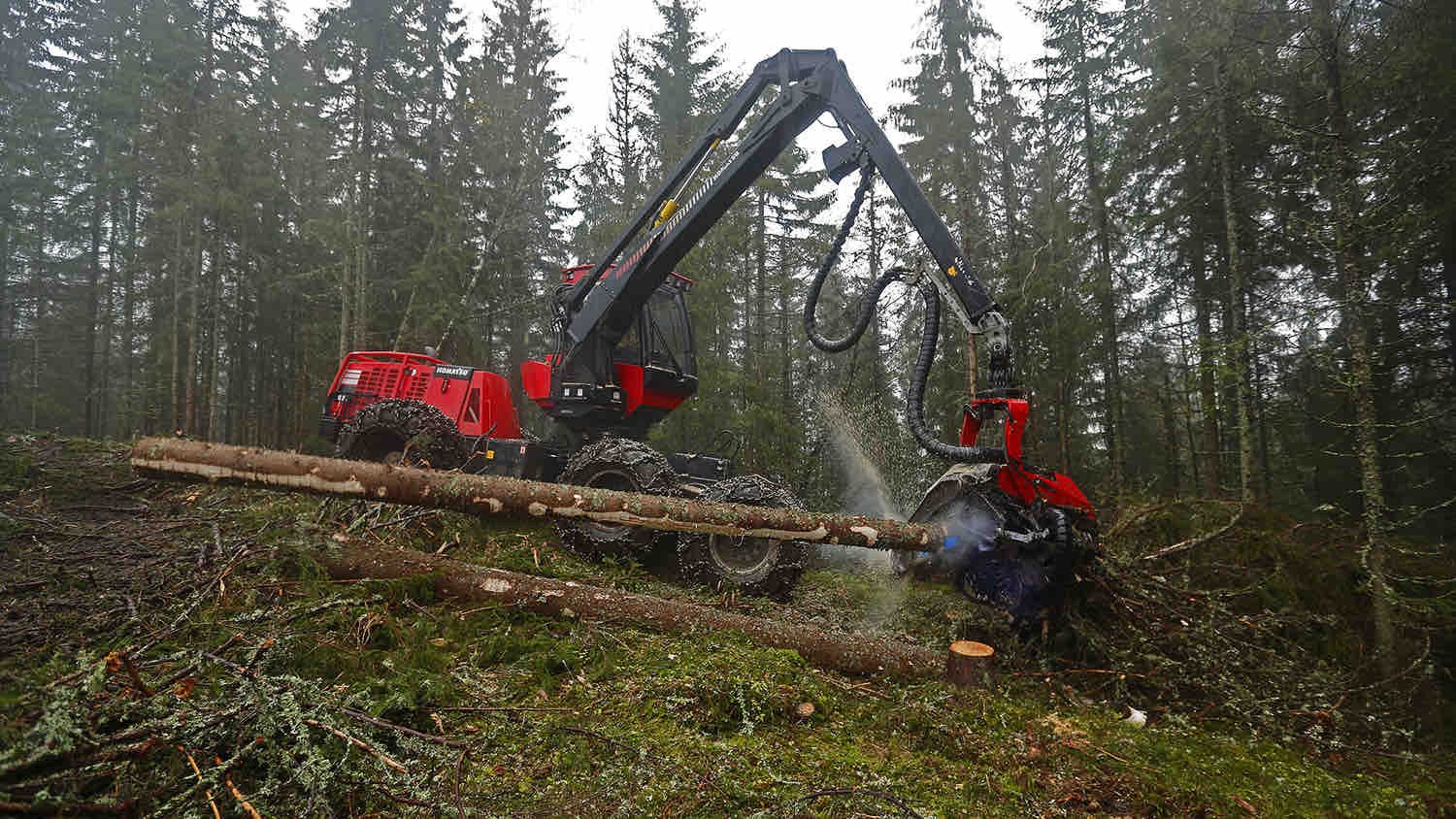  RÅTT PARTI: Skogsmaskinene må være effektive og etterlater seg store hogstflater.   
