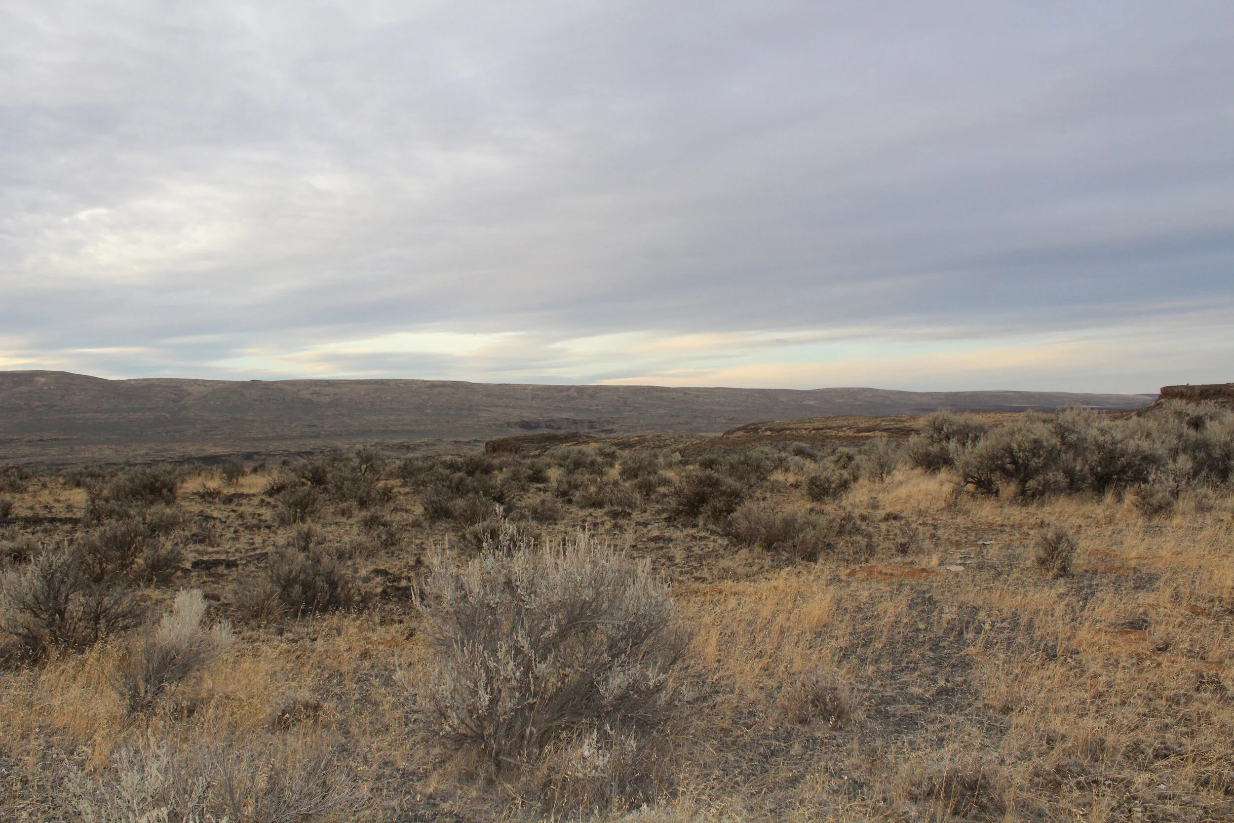 1.54 Acres in Rimrock Meadows — Mike's Lands, LLC