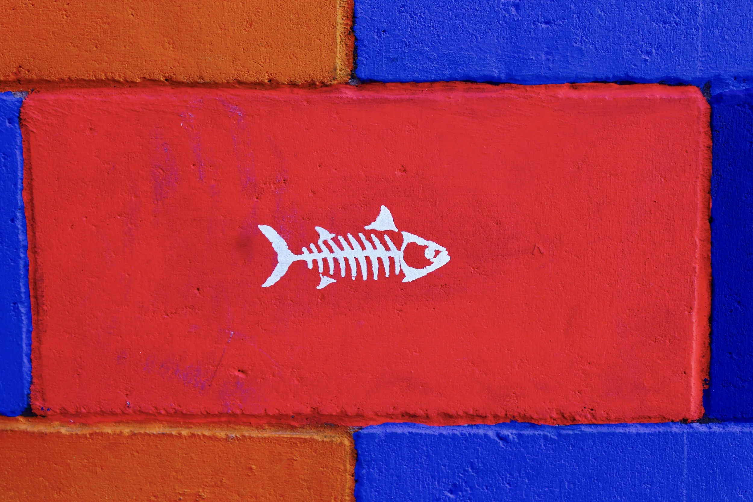 Fishbone Diagram