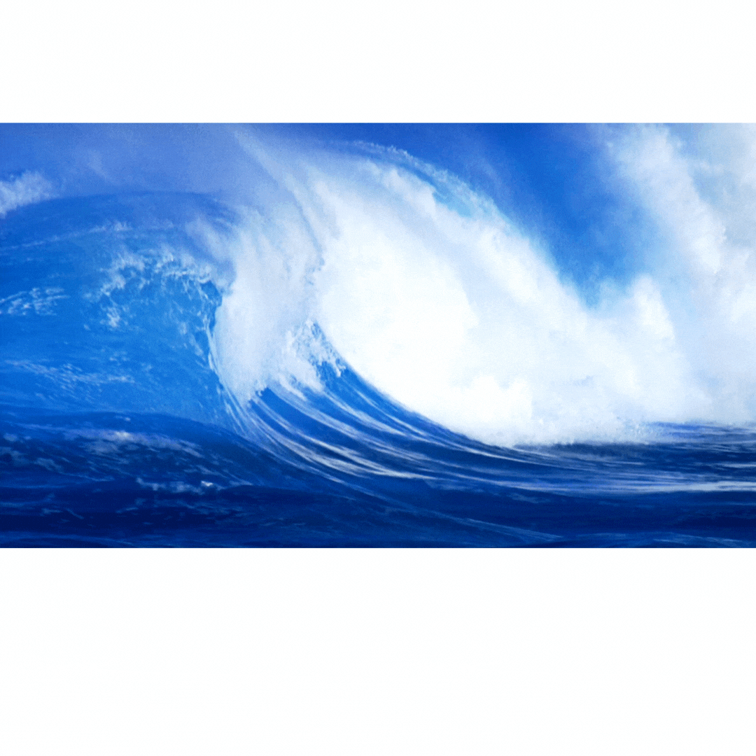 Nonprofit Boards: Ask These 5 Financial Questions