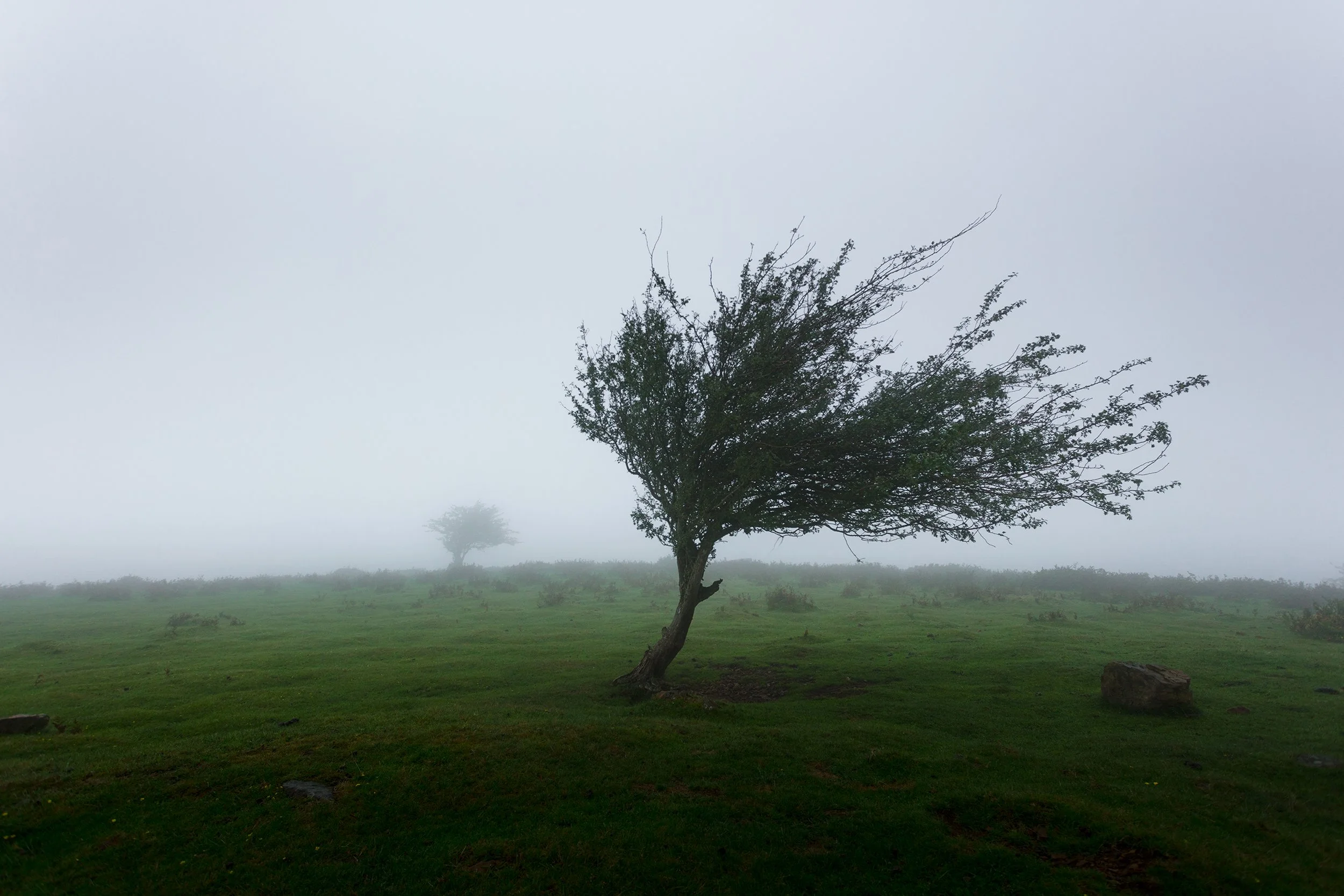 Three Things Financially Resilient Nonprofits Do