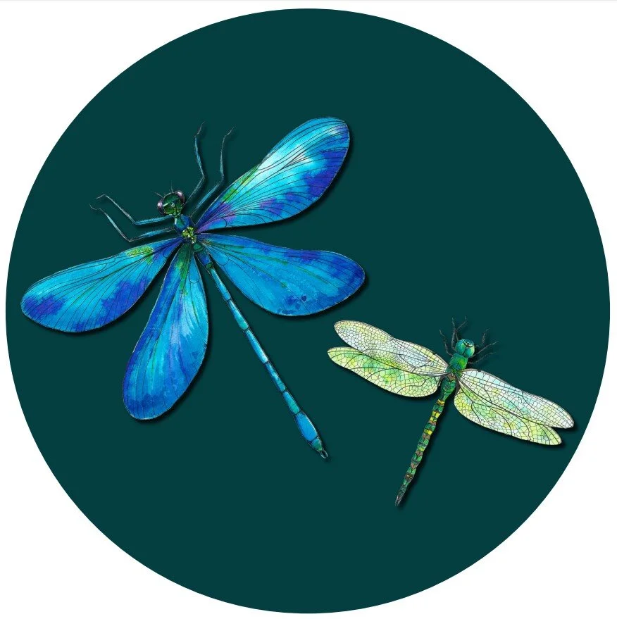 Rural Ranges Teal Dragonfly Design