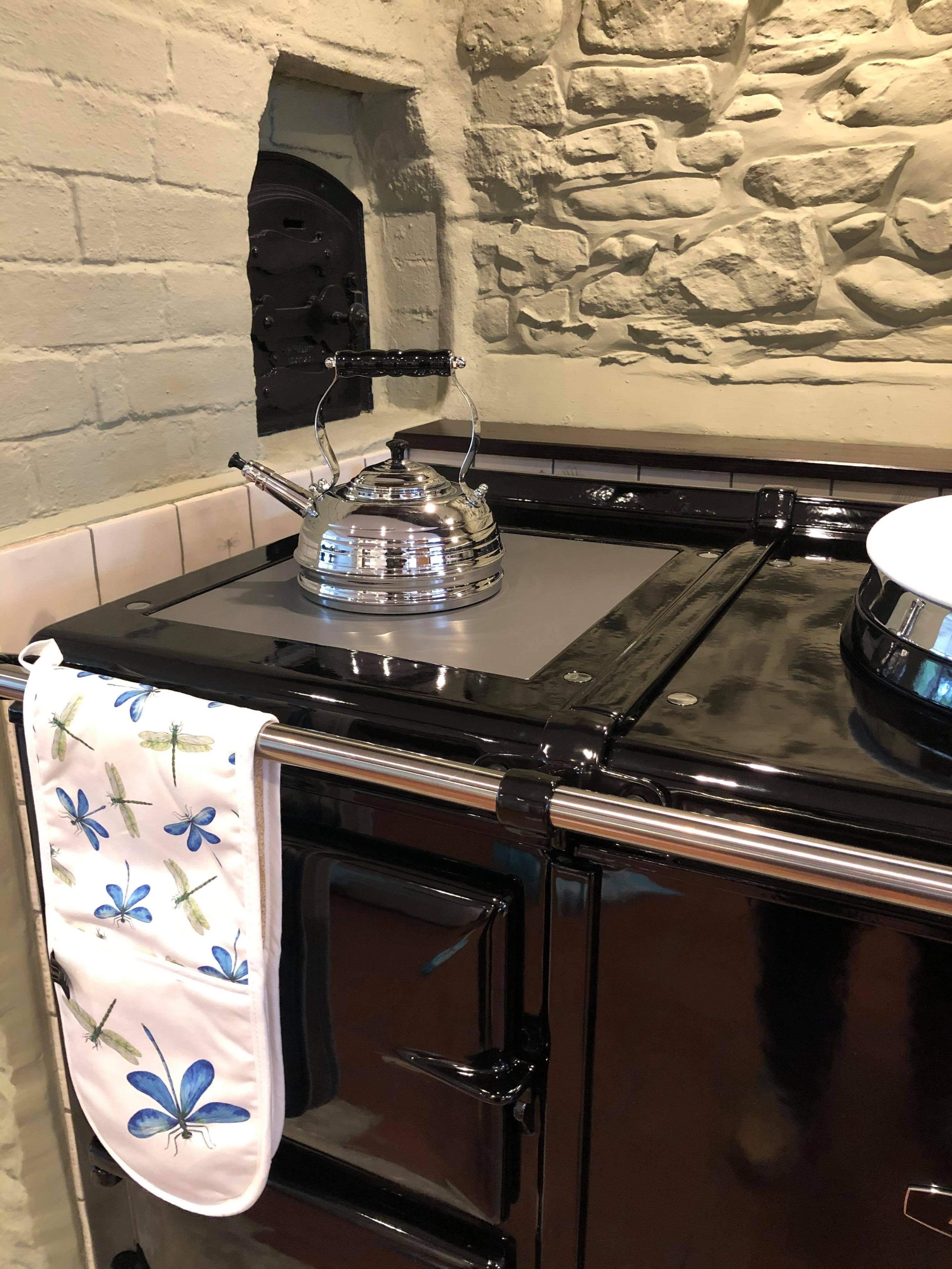 Dragonfly Oven Glove on Aga