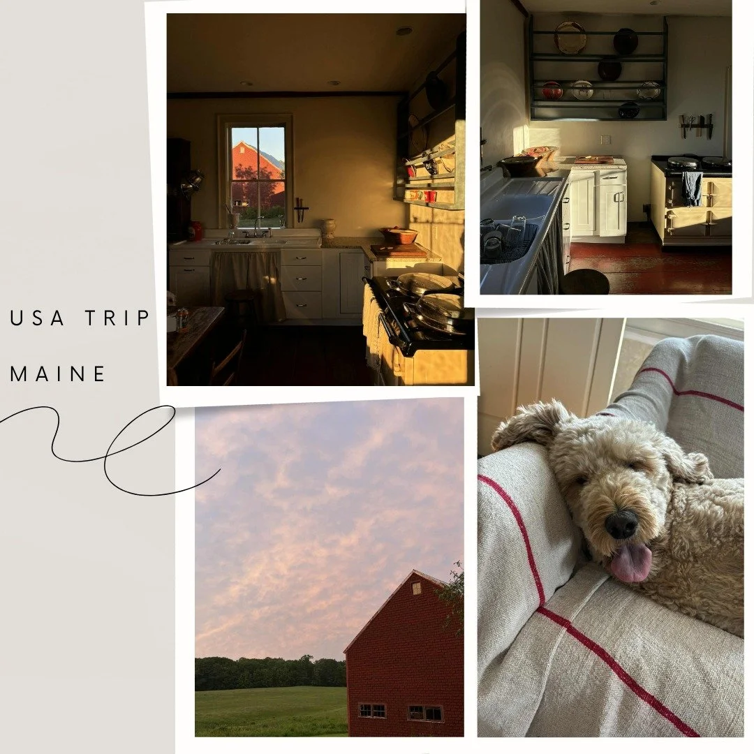maine total control aga repair