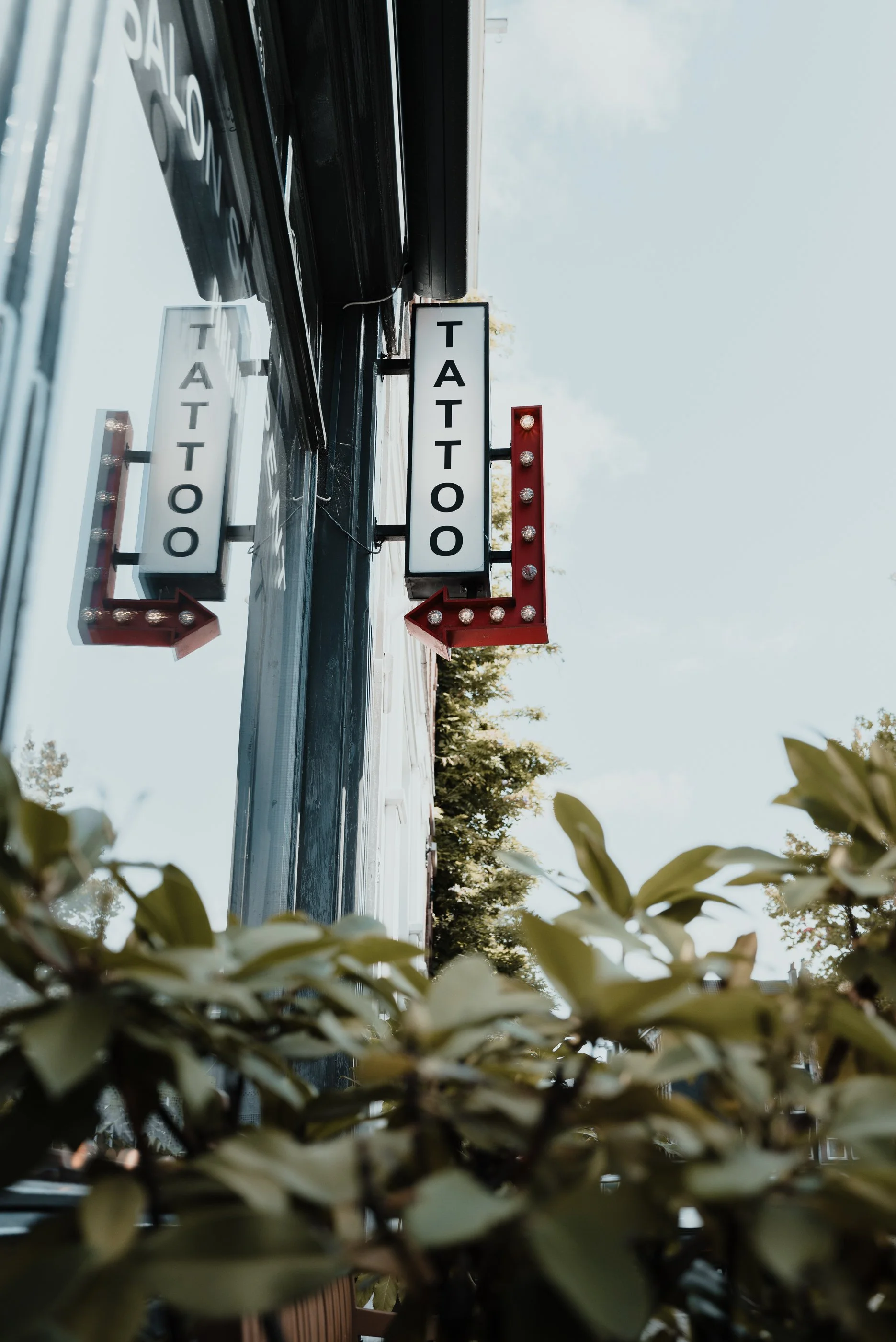 L1002794.jpg