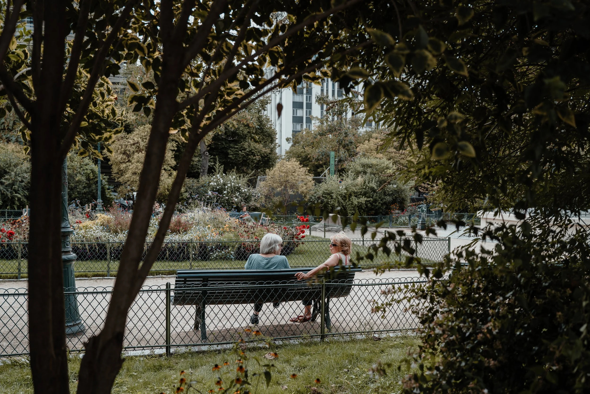 L1020317.jpg