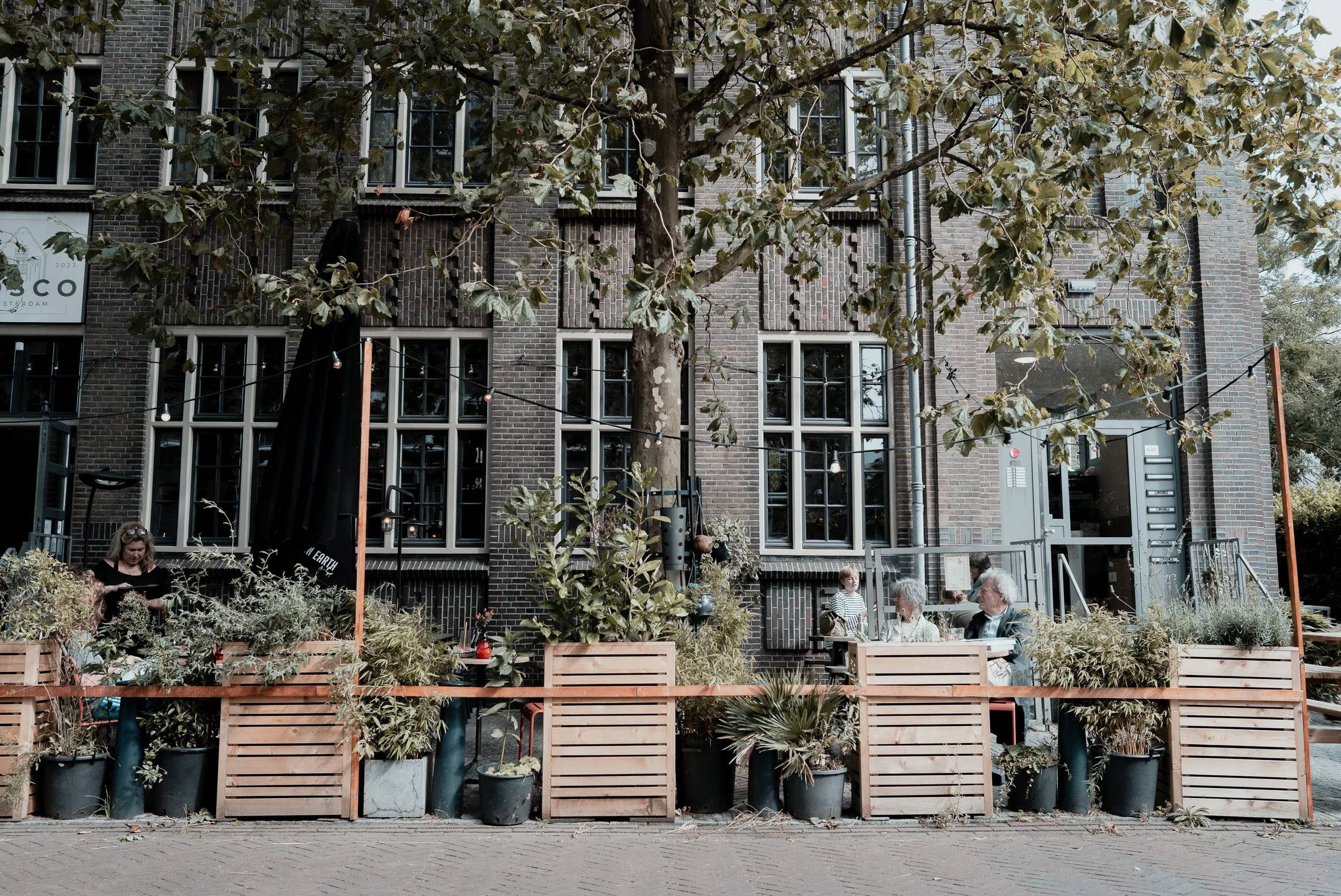 L1001683.jpg