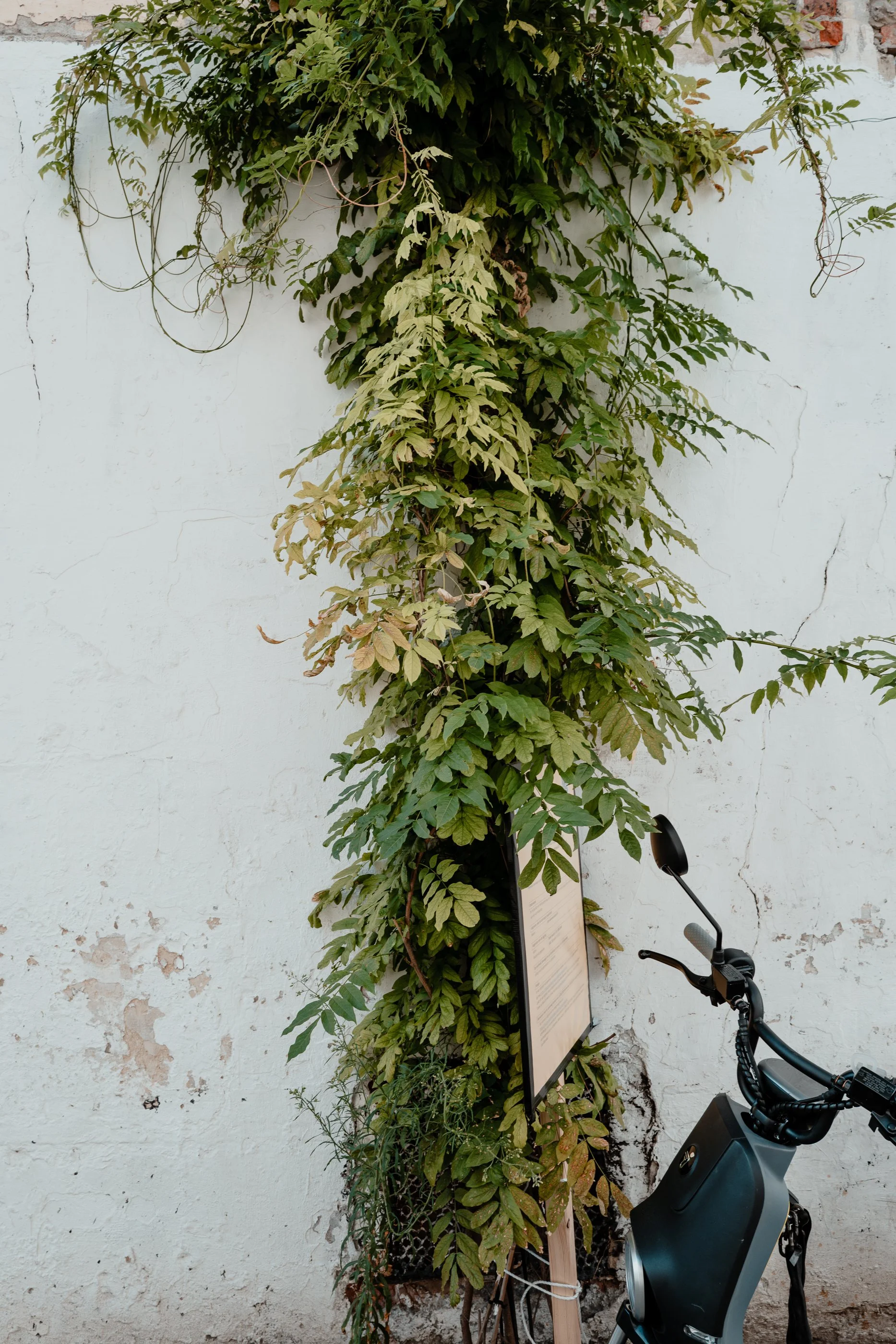 L1010090.jpg