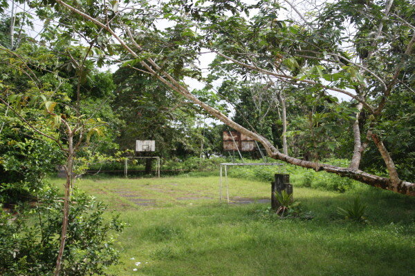 The dense jungle covers the abandoned town. This soccer-basketball field was at the core of old Bojayá’s social life.