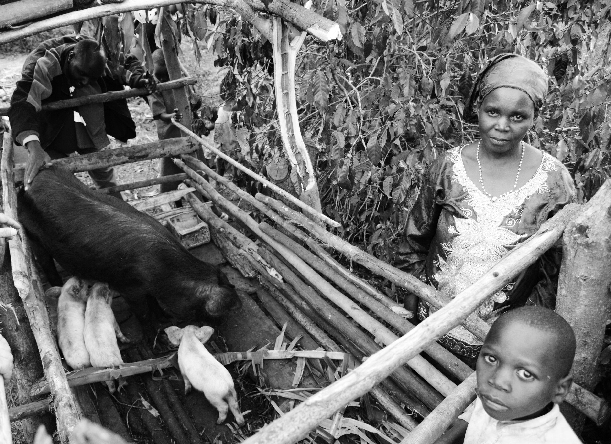  People living in rural areas often rely on agriculture as a form of subsistence farming.  