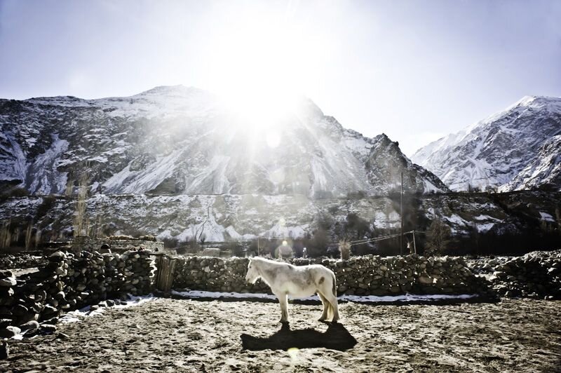 There is less work in the winter for domesticated animals like horses, donkeys, and yaks. 