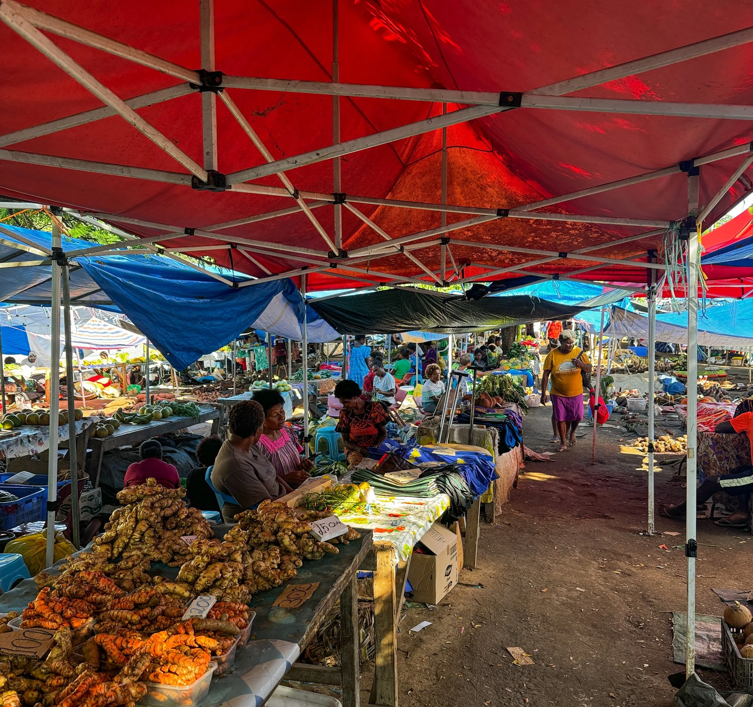   Photo 3 : Local women sell ginger root and greens at a mama’s market in the Manples neighbourhood of Port Vila. Many of the women working stands have small children in tow, playing below the tables. This particular market in Manples has almost doub