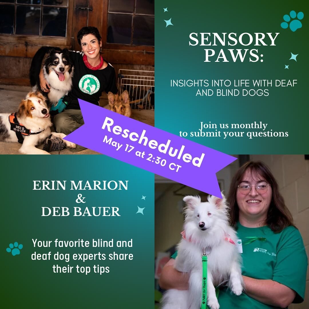 Hey everyone we are so excited for the out pouring amount of love and support our collaboration has gained! We are excited to speak to almost 70 of you!! 

Unfortunately due to a family emergency we will need to post pone Sensory Paws: Insights into 