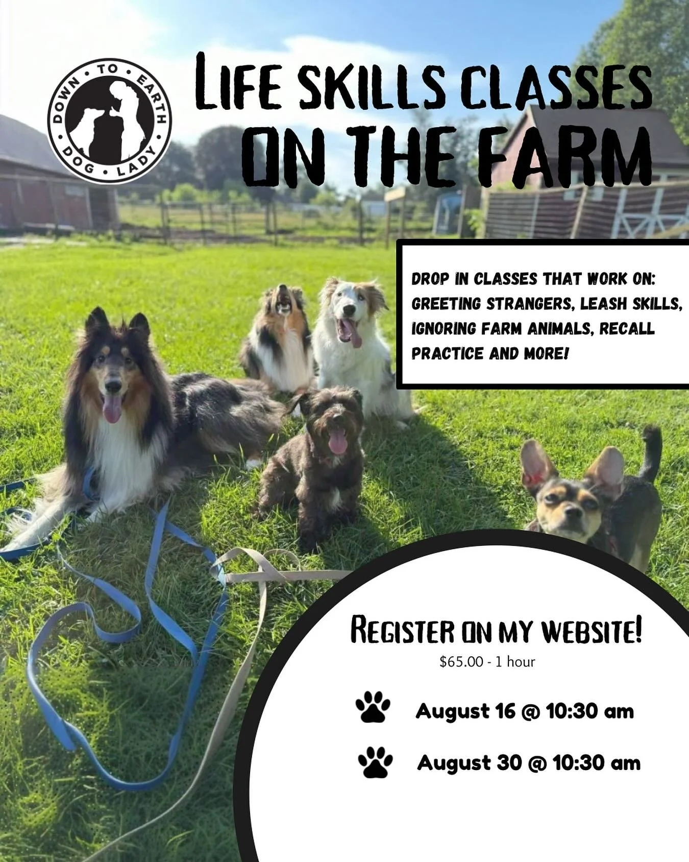 Spots are still open for my August Life Skills Class!

If you&rsquo;ve been wanting to build confidence, connection, and real-life working skills with your pup this is your chance!

Life skills is a unique, immersive training experience held right he